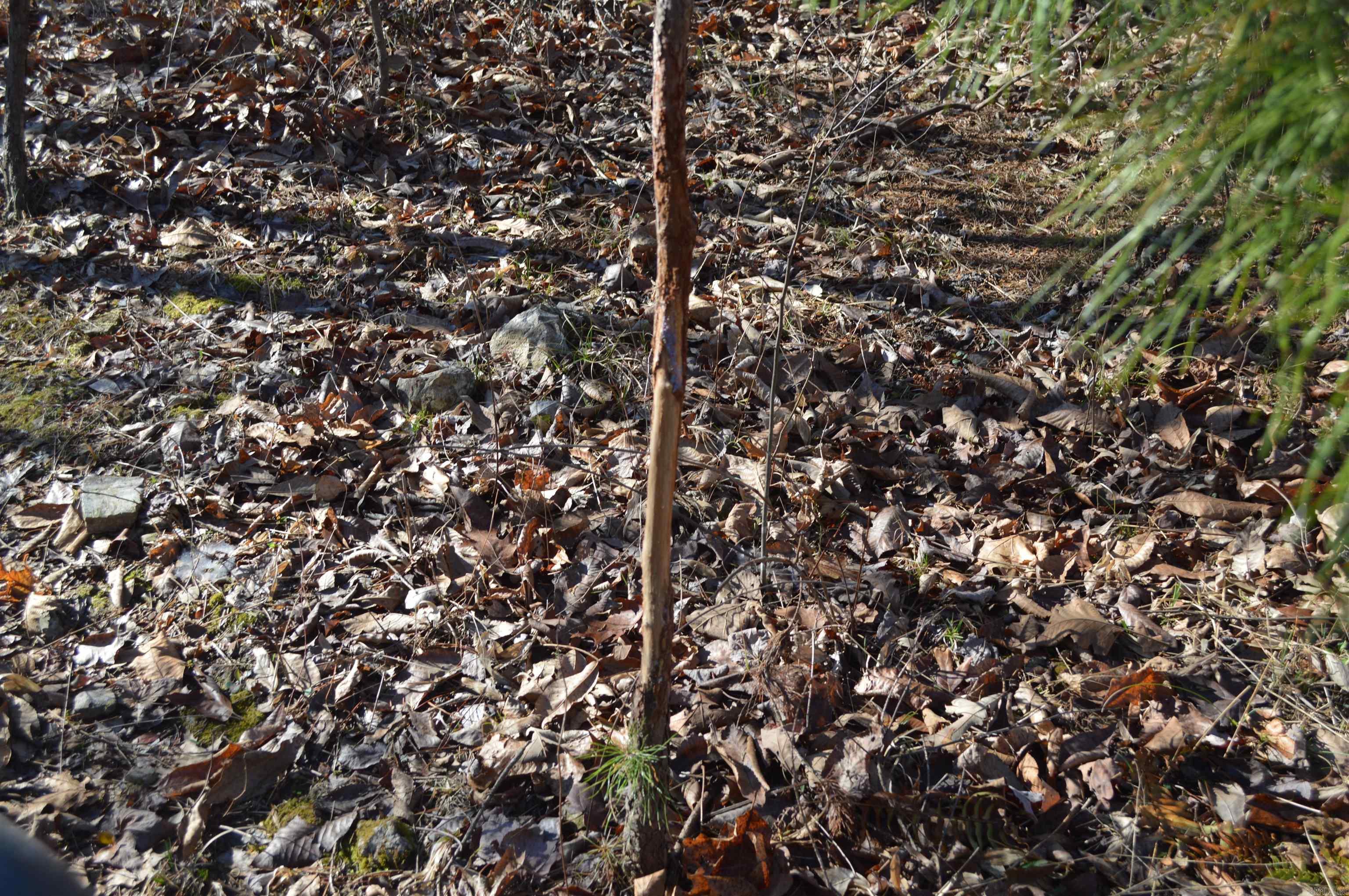 00 Gutter  RD  Harriet, AR