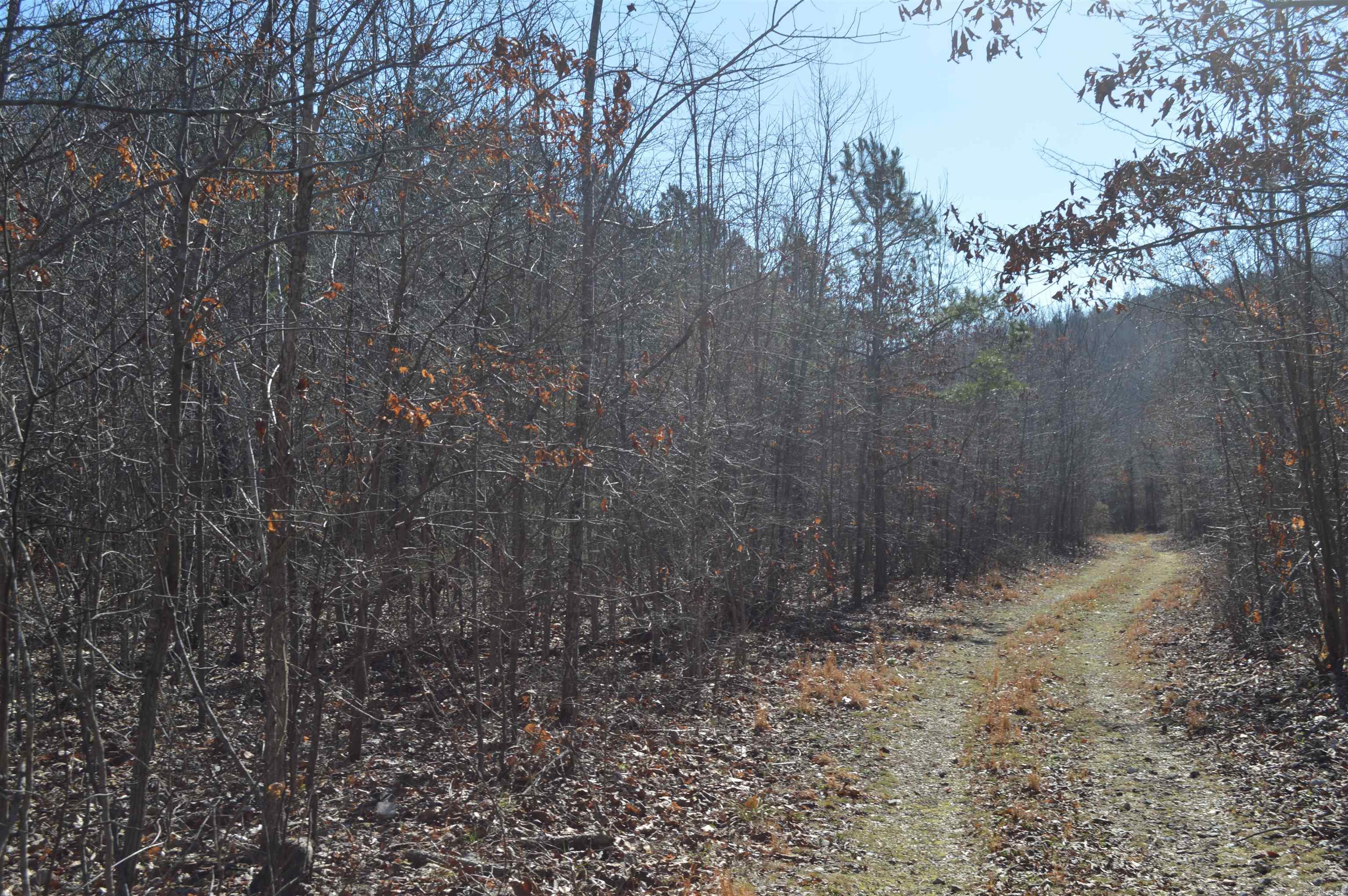 00 Gutter  RD  Harriet, AR