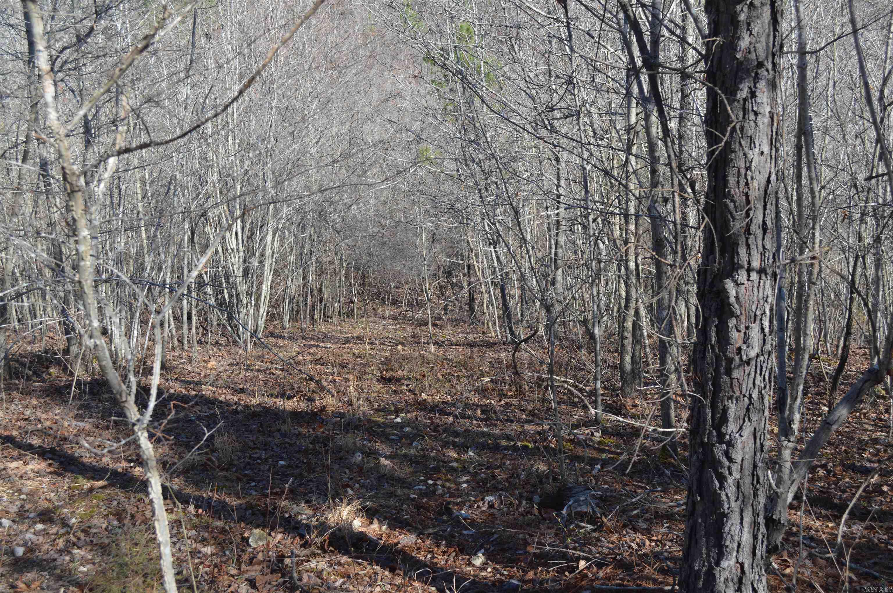 00 Gutter  RD  Harriet, AR