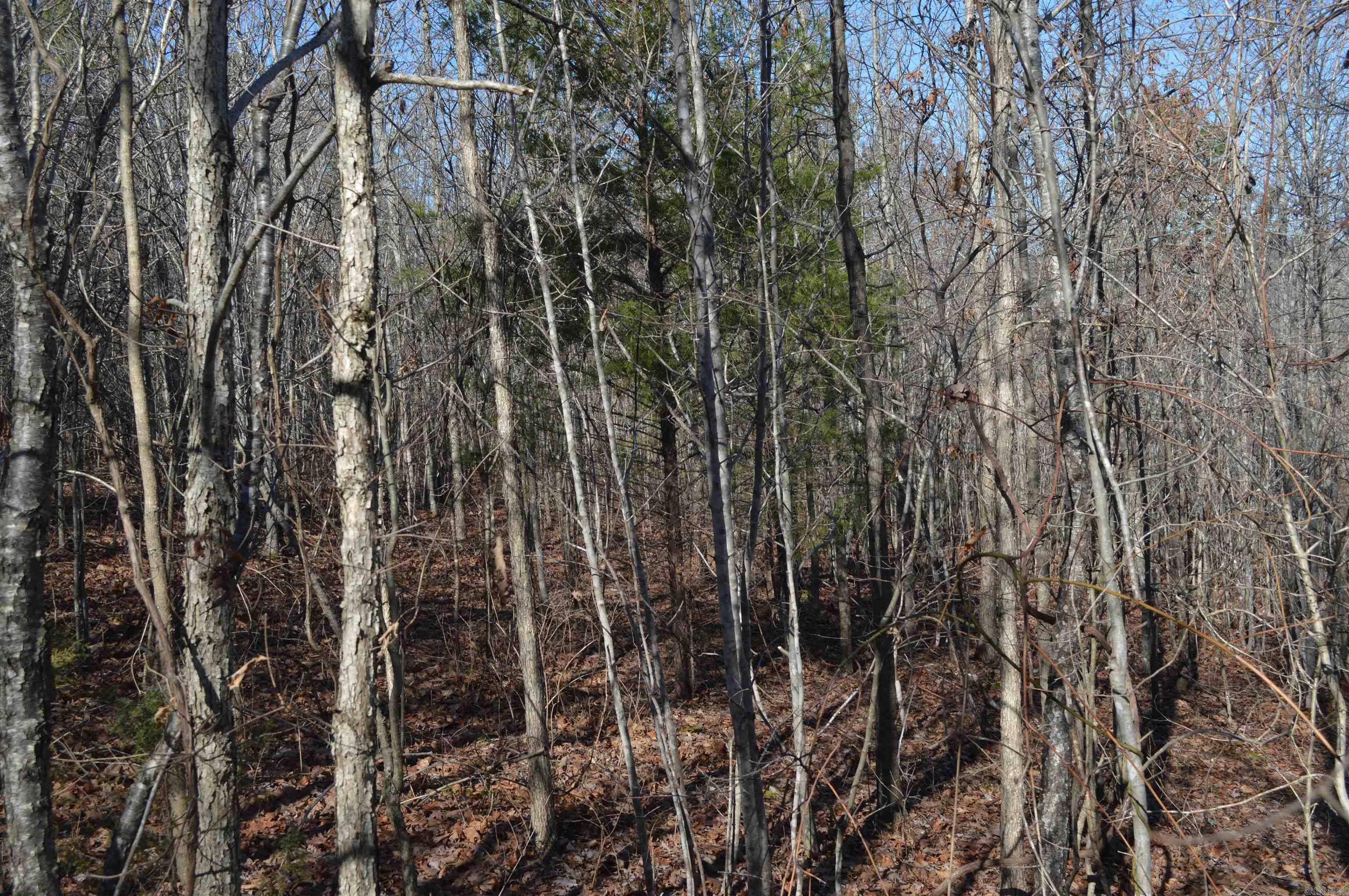 00 Gutter  RD  Harriet, AR