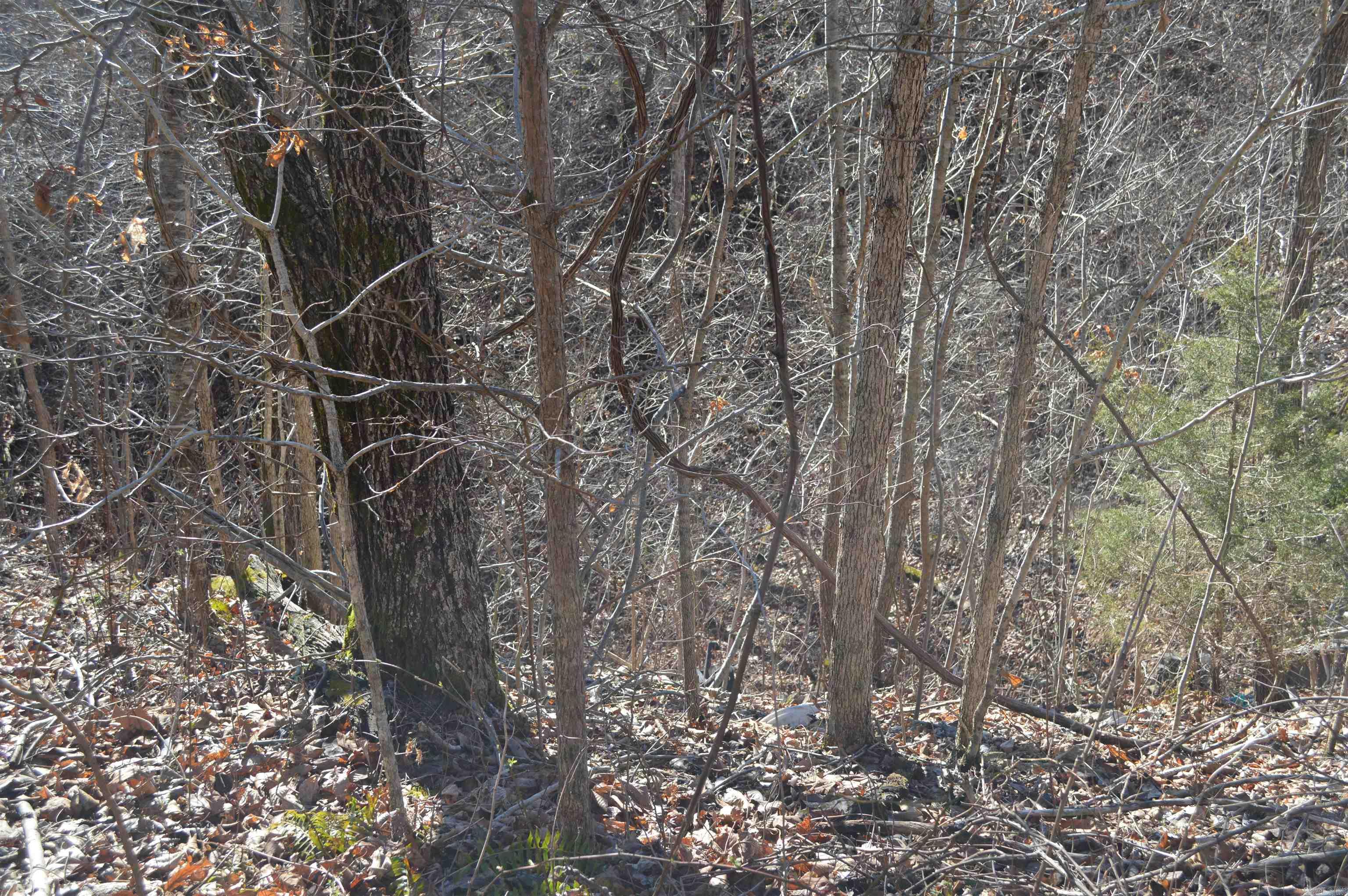 00 Gutter  RD  Harriet, AR