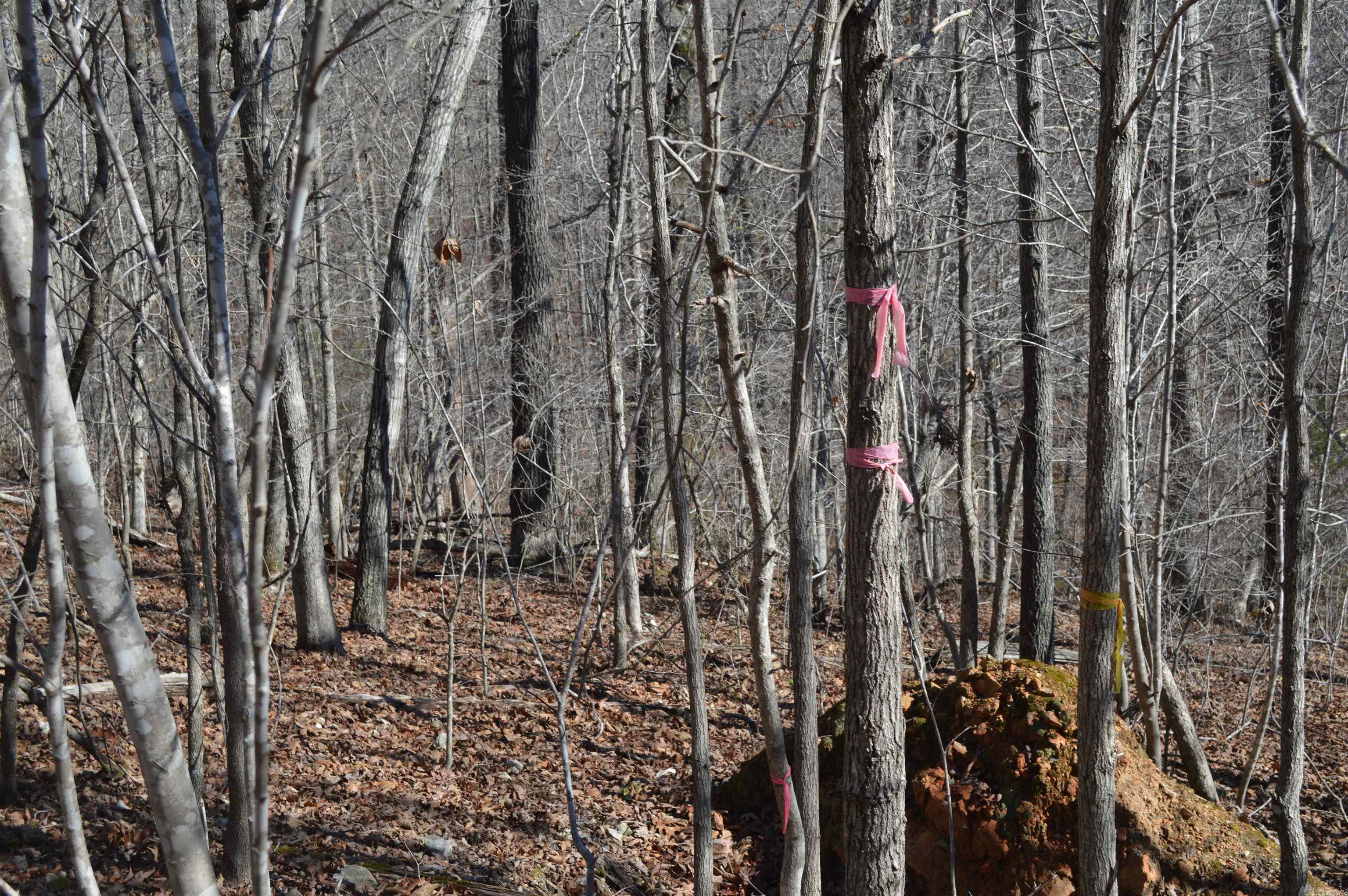 00 Gutter  RD  Harriet, AR