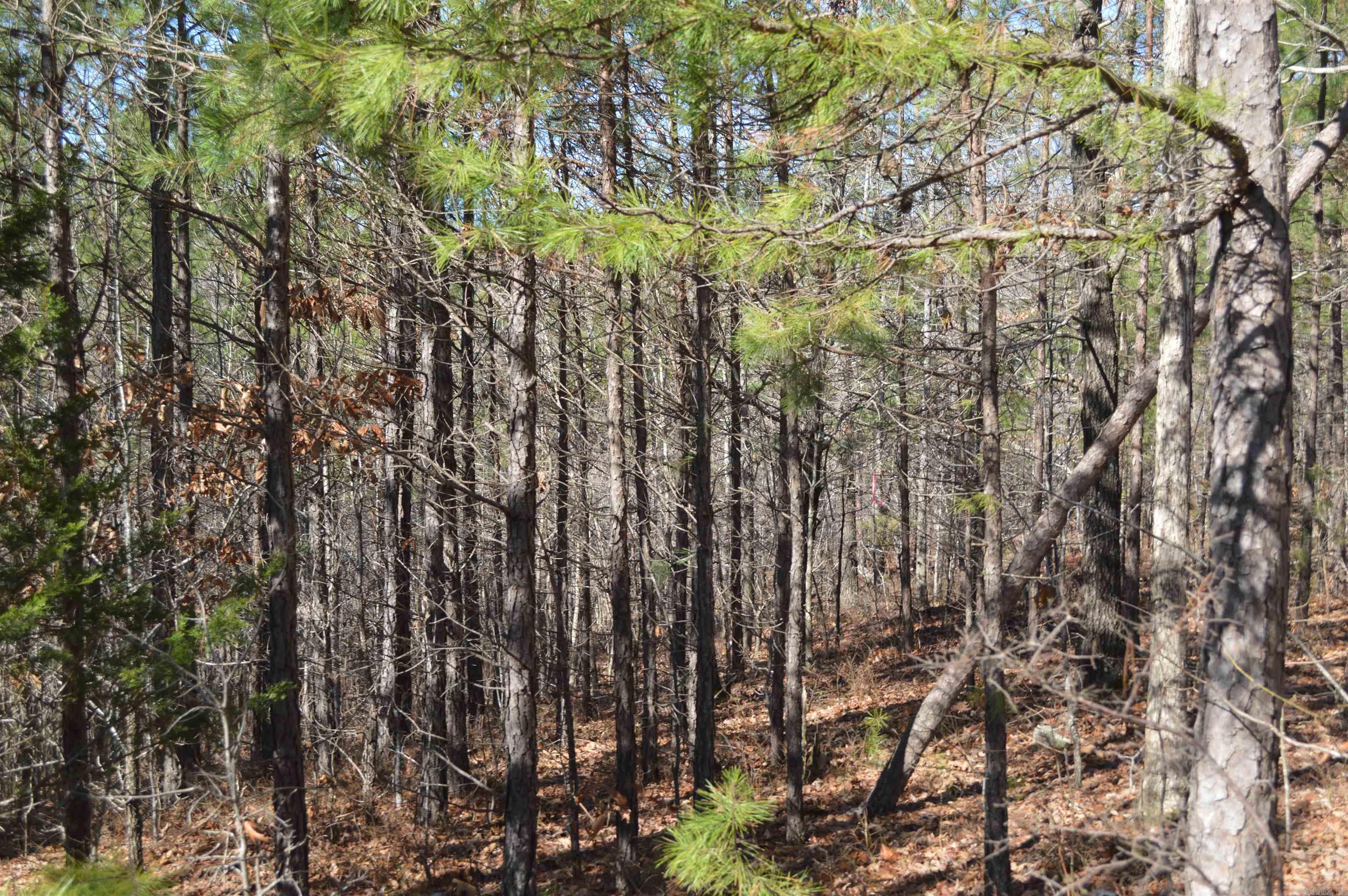 00 Gutter  RD  Harriet, AR