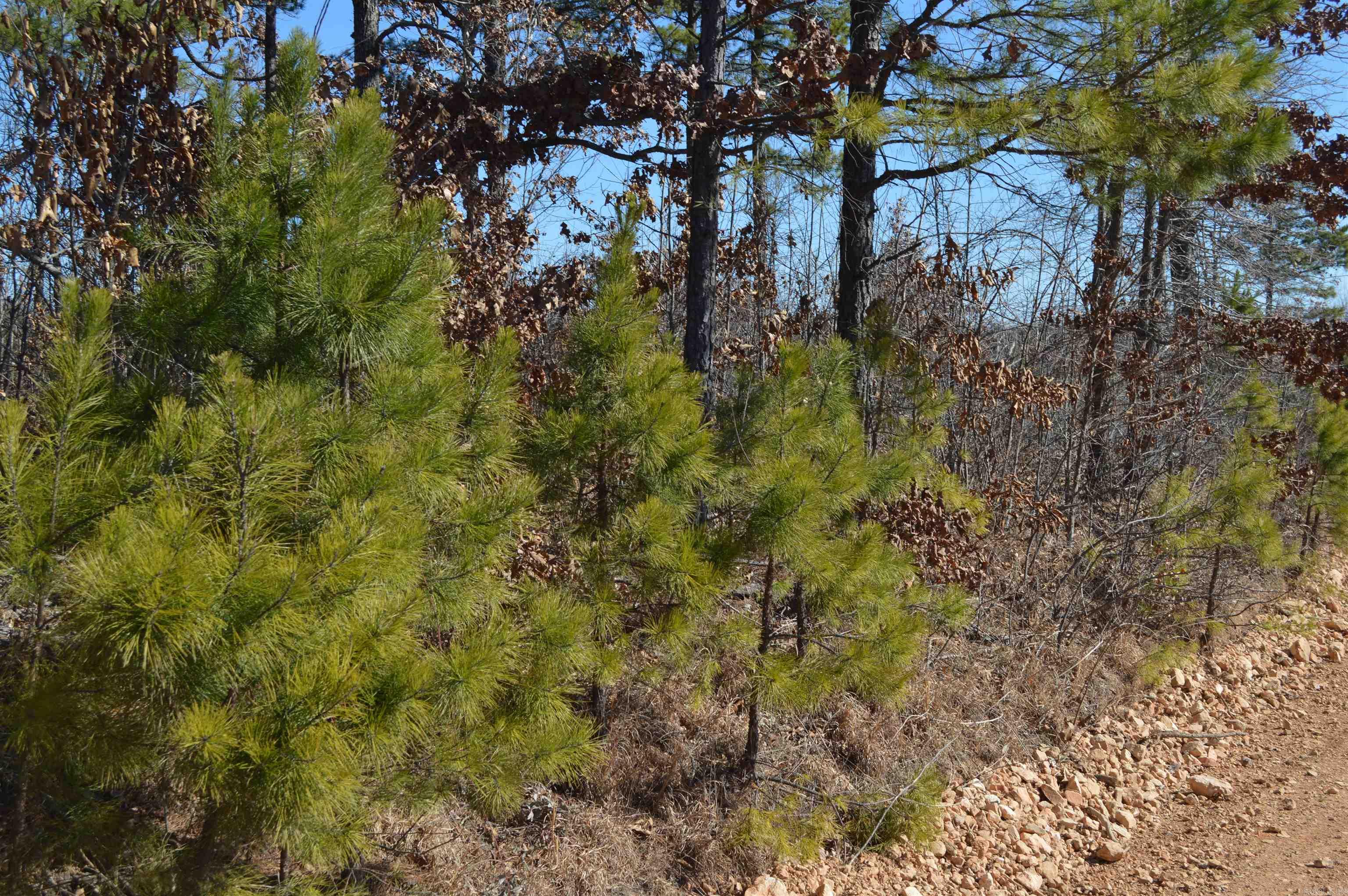 00 Gutter  RD  Harriet, AR