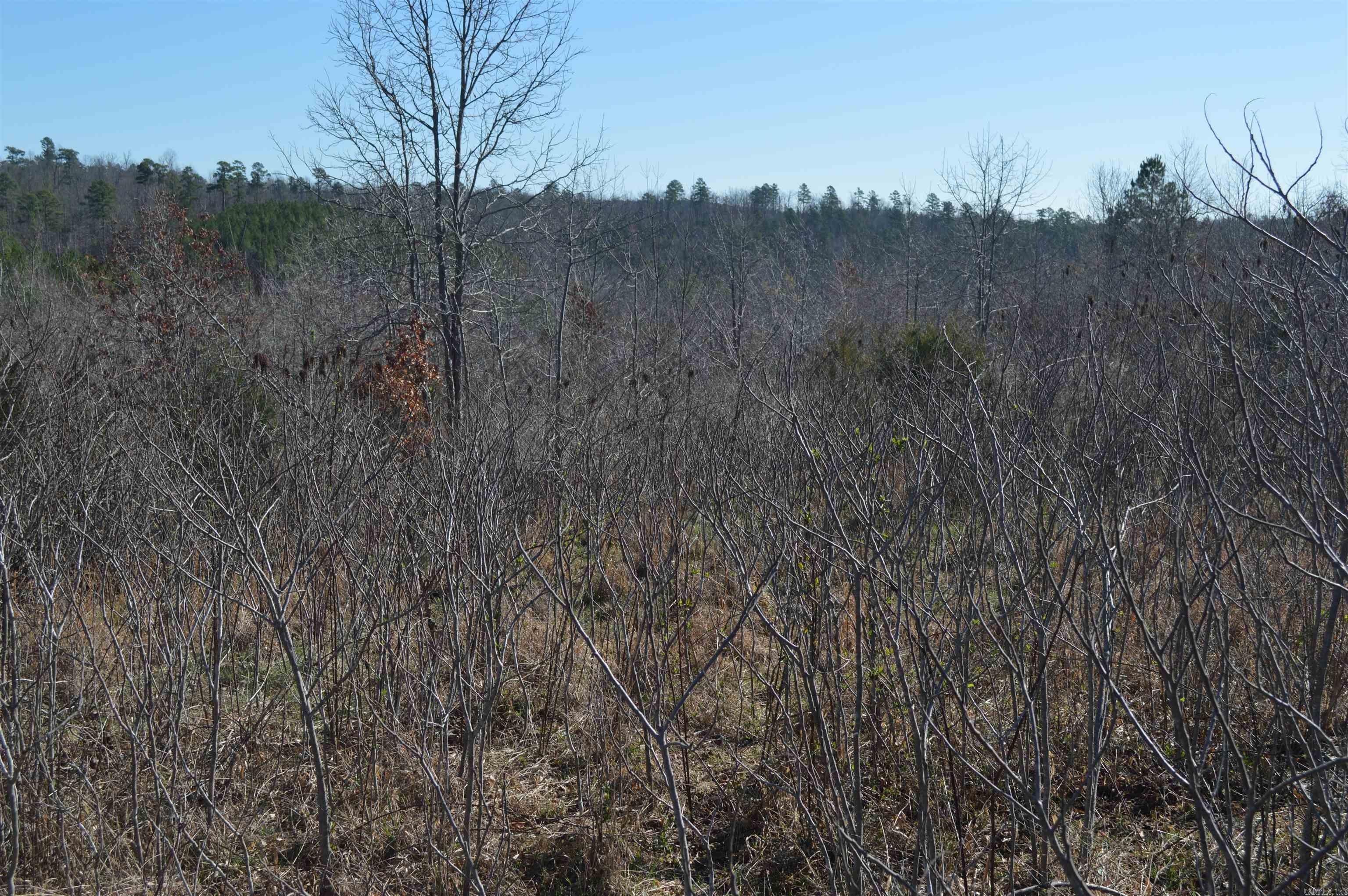 00 Gutter  RD  Harriet, AR