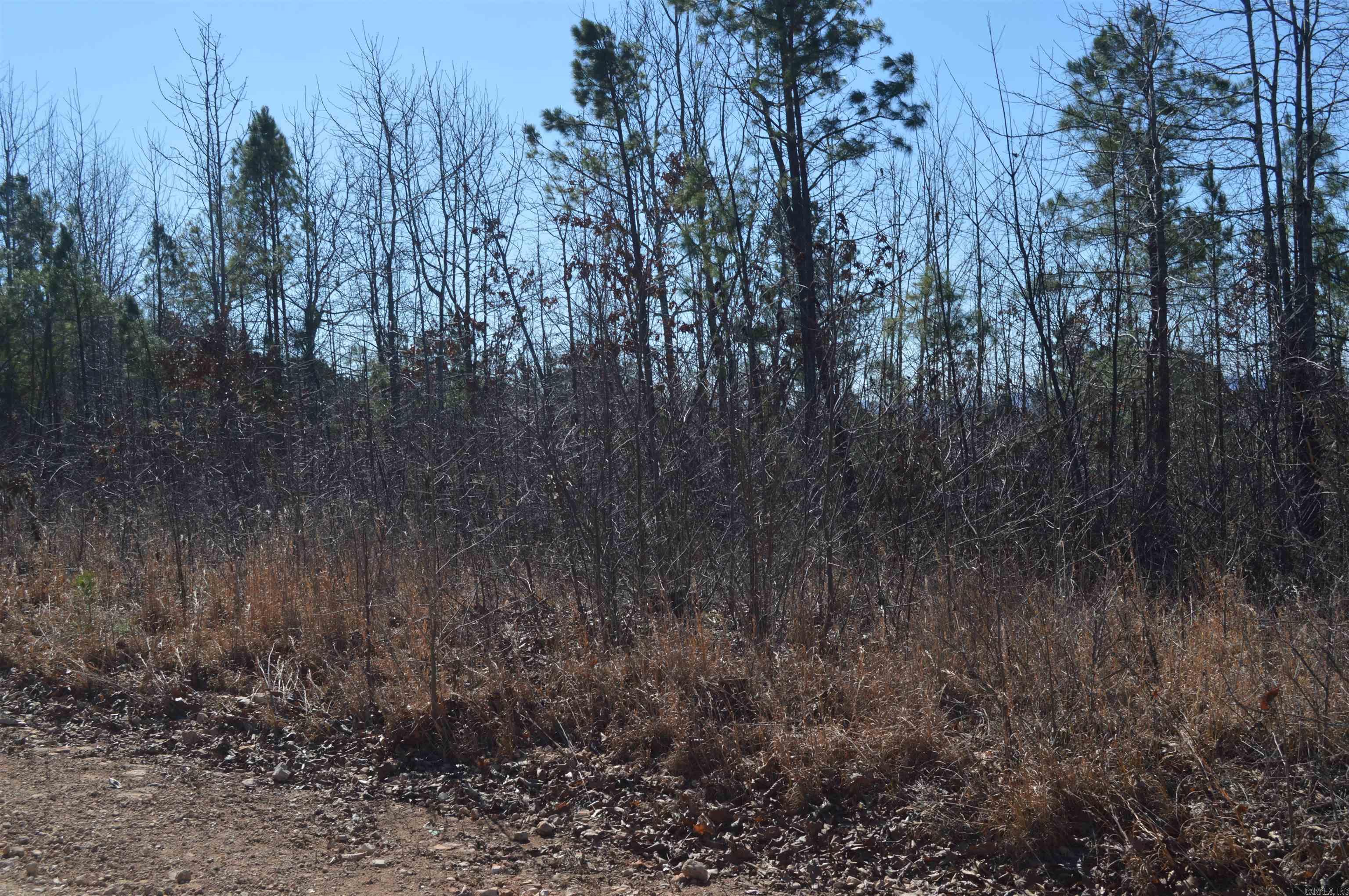 00 Gutter  RD  Harriet, AR