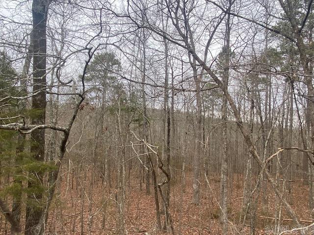 Lot 77 Mustang  Clinton, AR