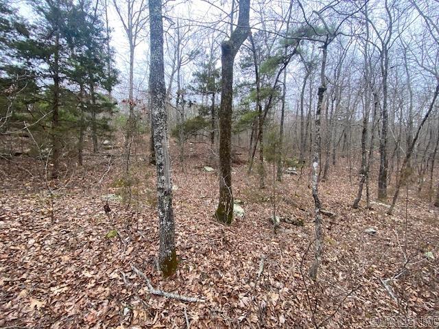 Lot 77 Mustang  Clinton, AR