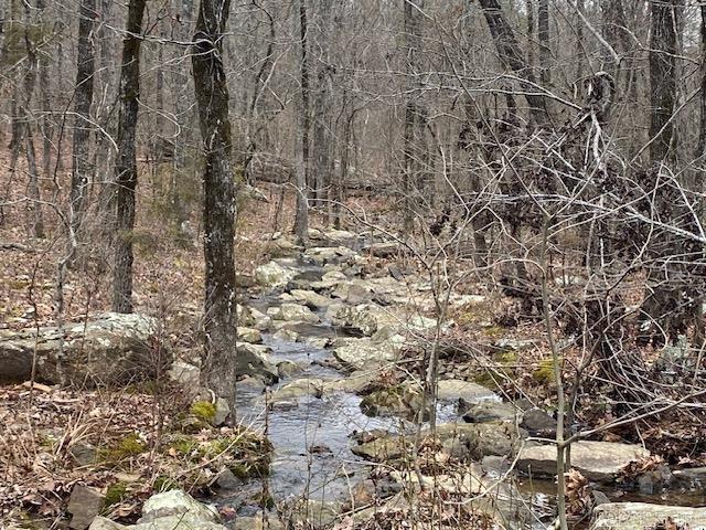 Lot 77 Mustang  Clinton, AR