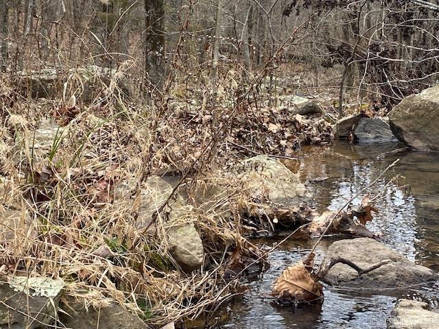 Lot 77 Mustang  Clinton, AR