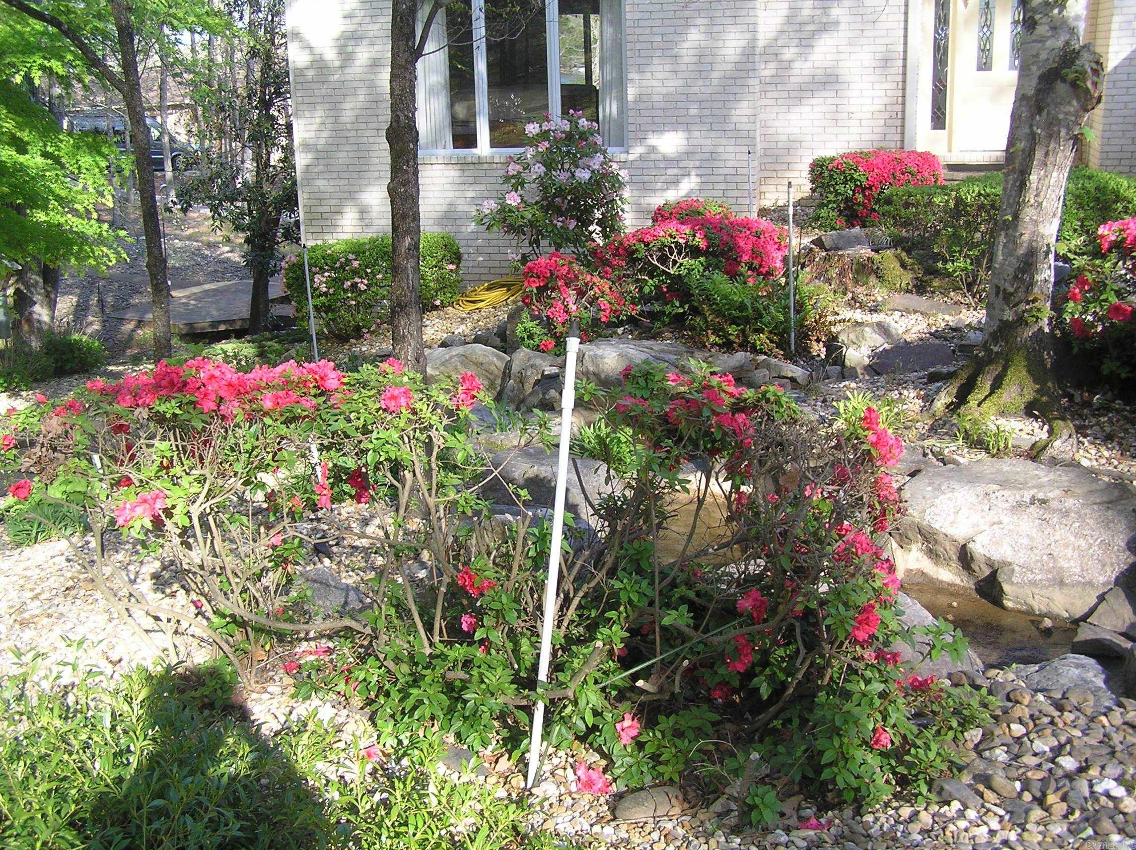 9 Lazo  Hot Springs Village, AR