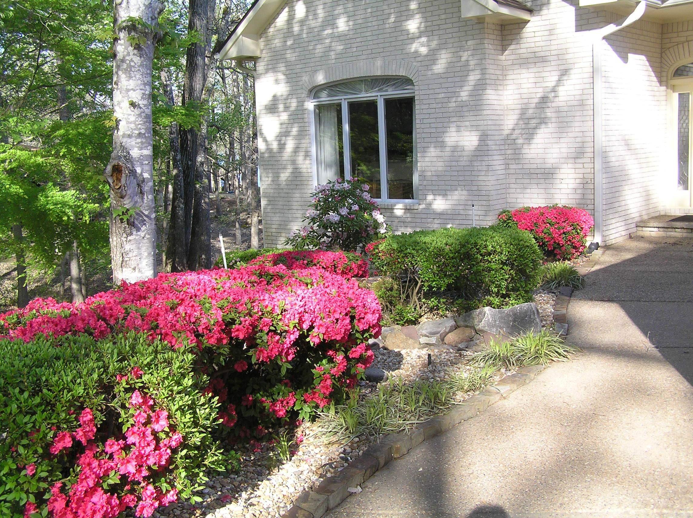 9 Lazo  Hot Springs Village, AR