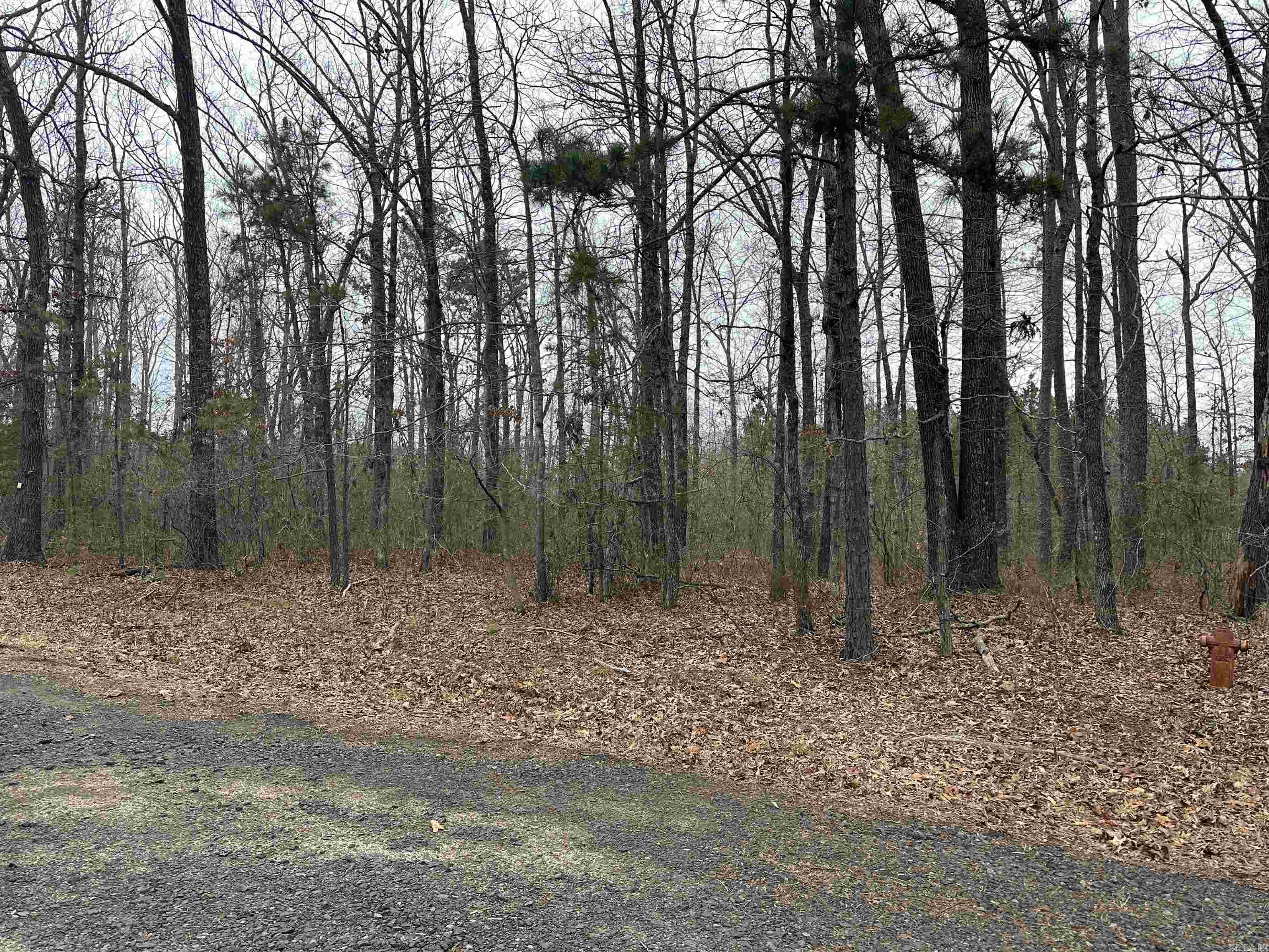 Lot 5 Woodland  Greers Ferry, AR