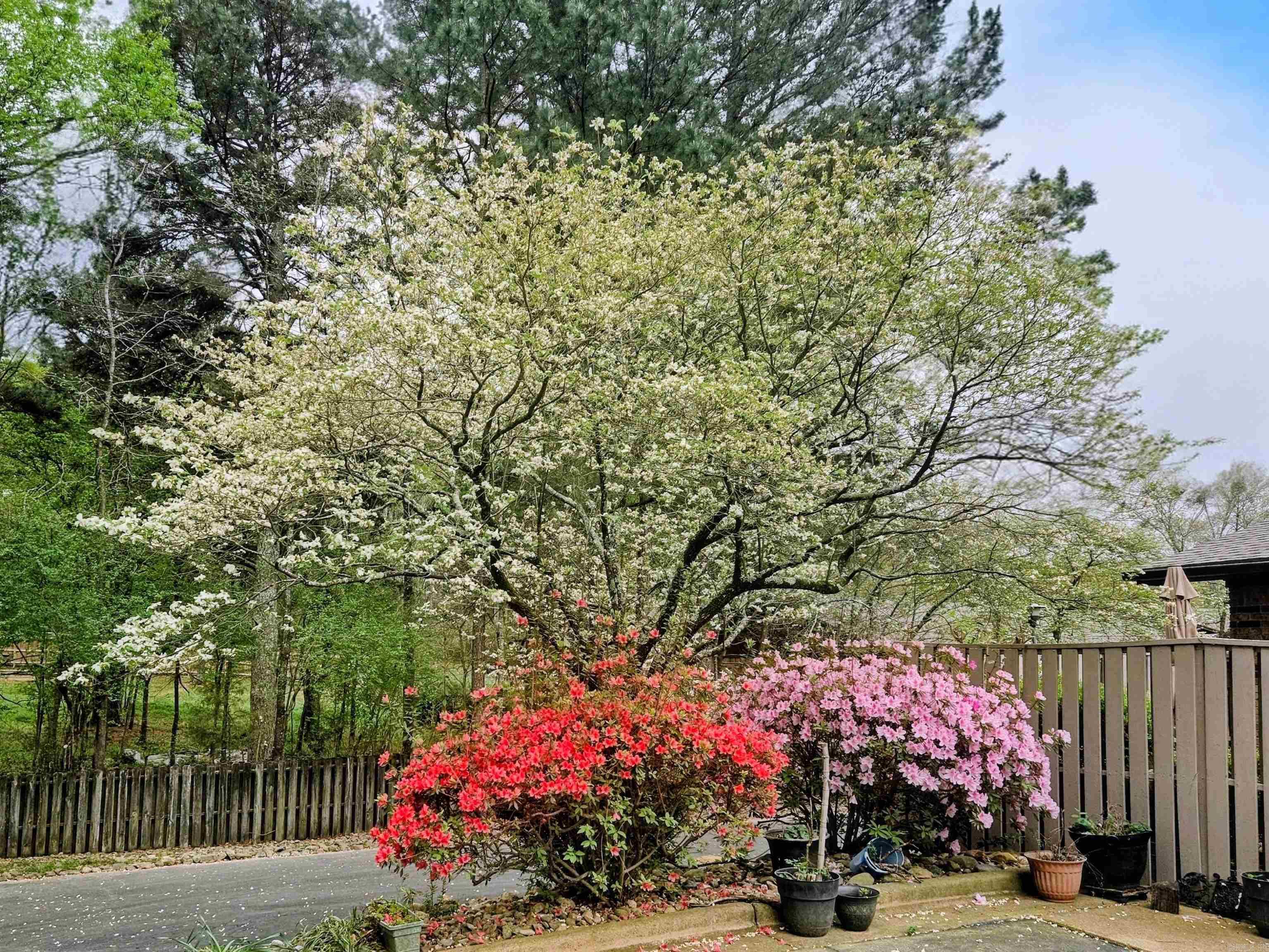 109 Indian Hills  Hot Springs, AR