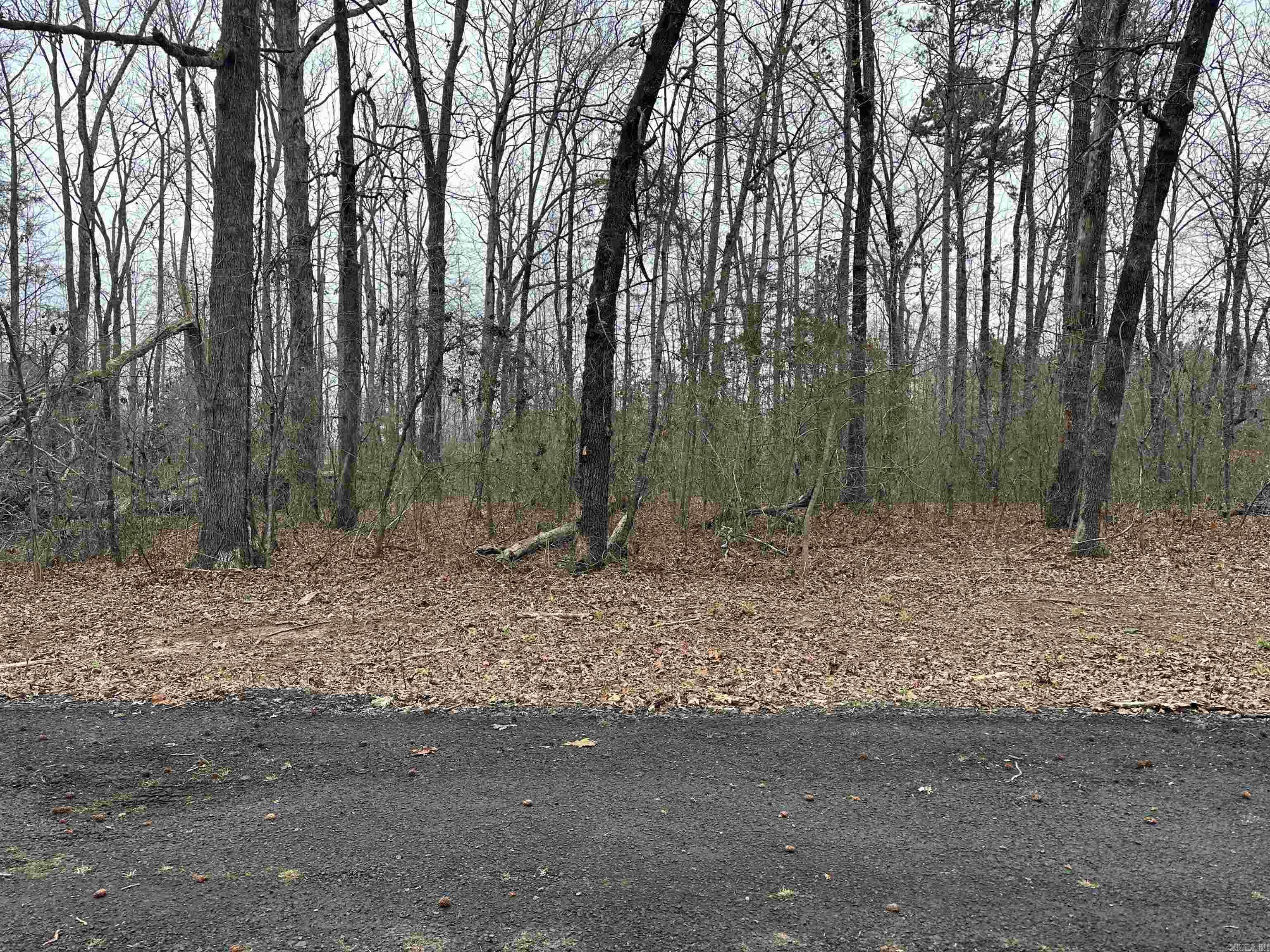 Lot 6 Woodland  Greers Ferry, AR