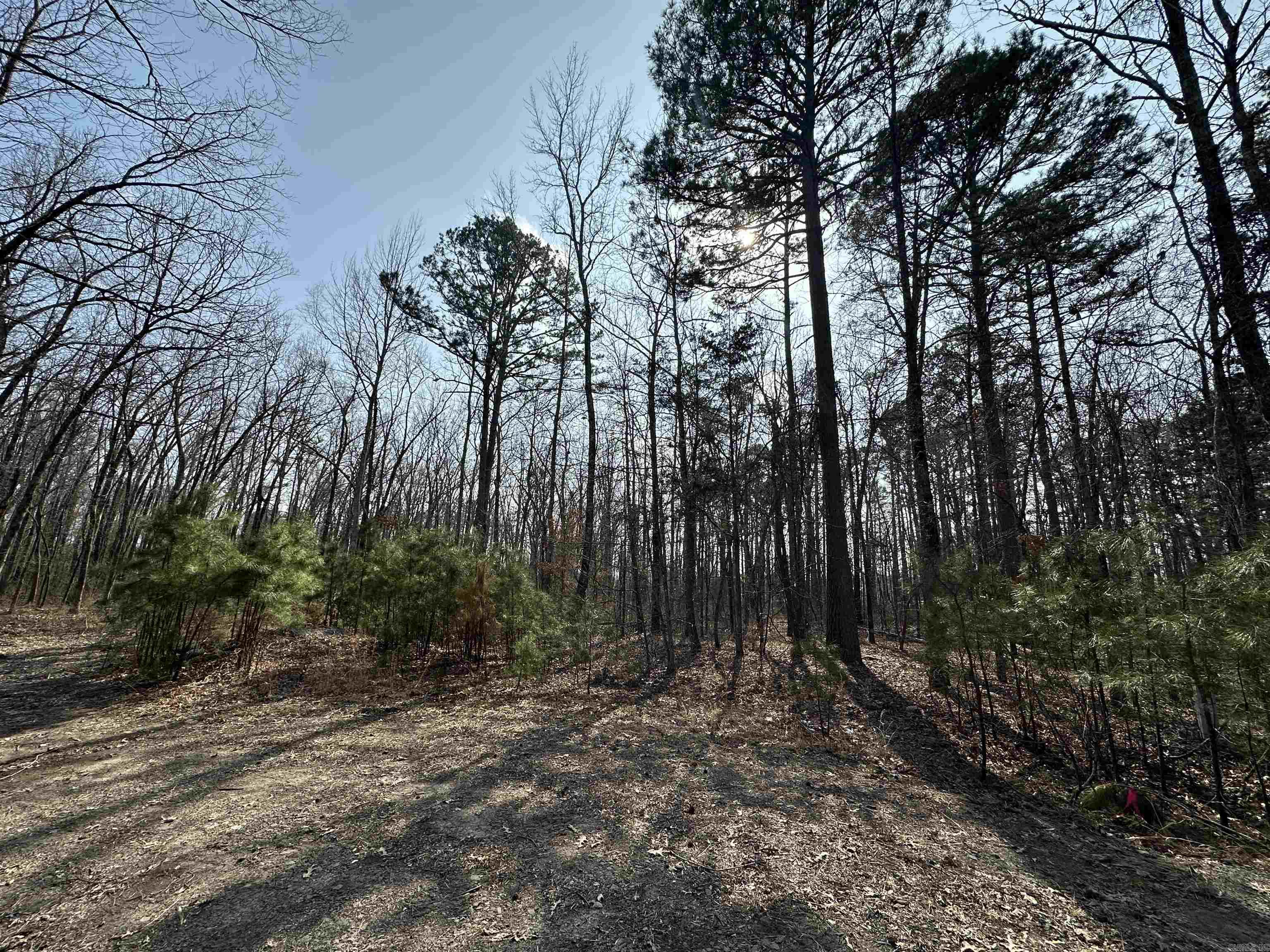 00 Edgemont/Woodland  Greers Ferry, AR