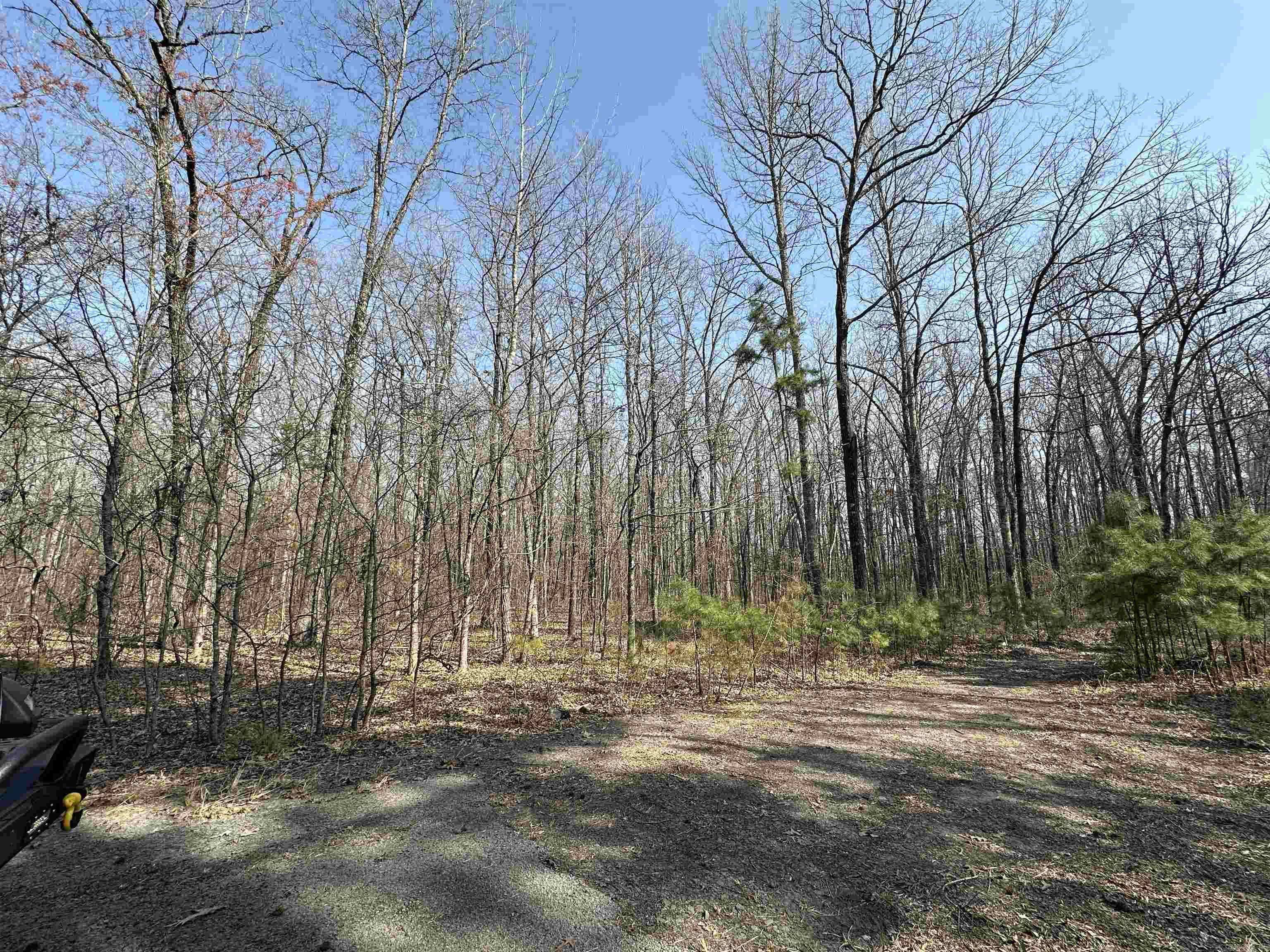 00 Edgemont/Woodland  Greers Ferry, AR