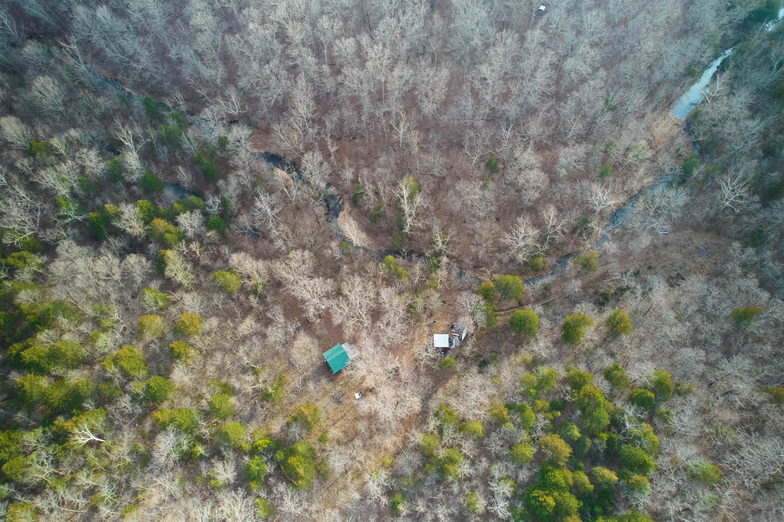 00 Red Oak  Hardy, AR