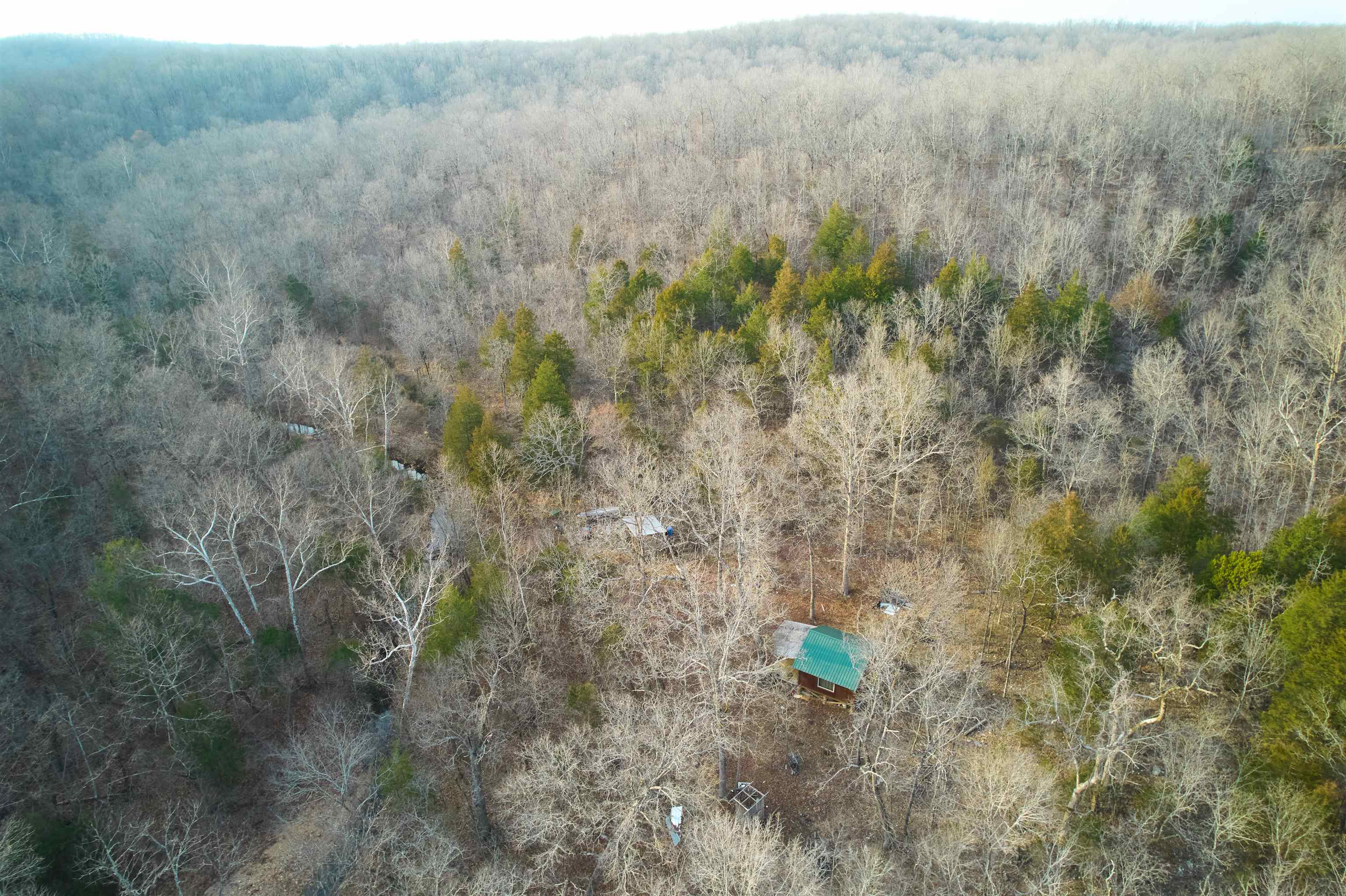 00 Red Oak  Hardy, AR