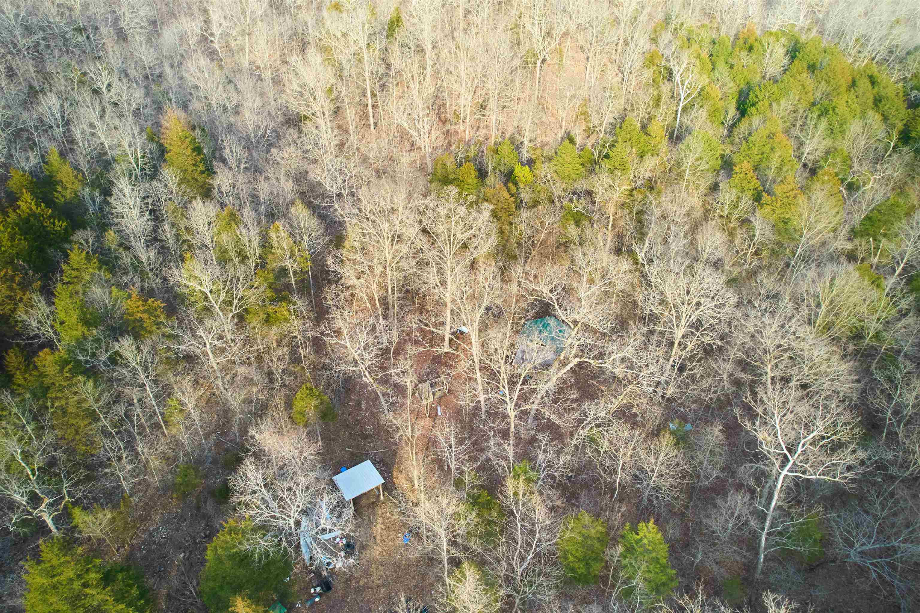 00 Red Oak  Hardy, AR