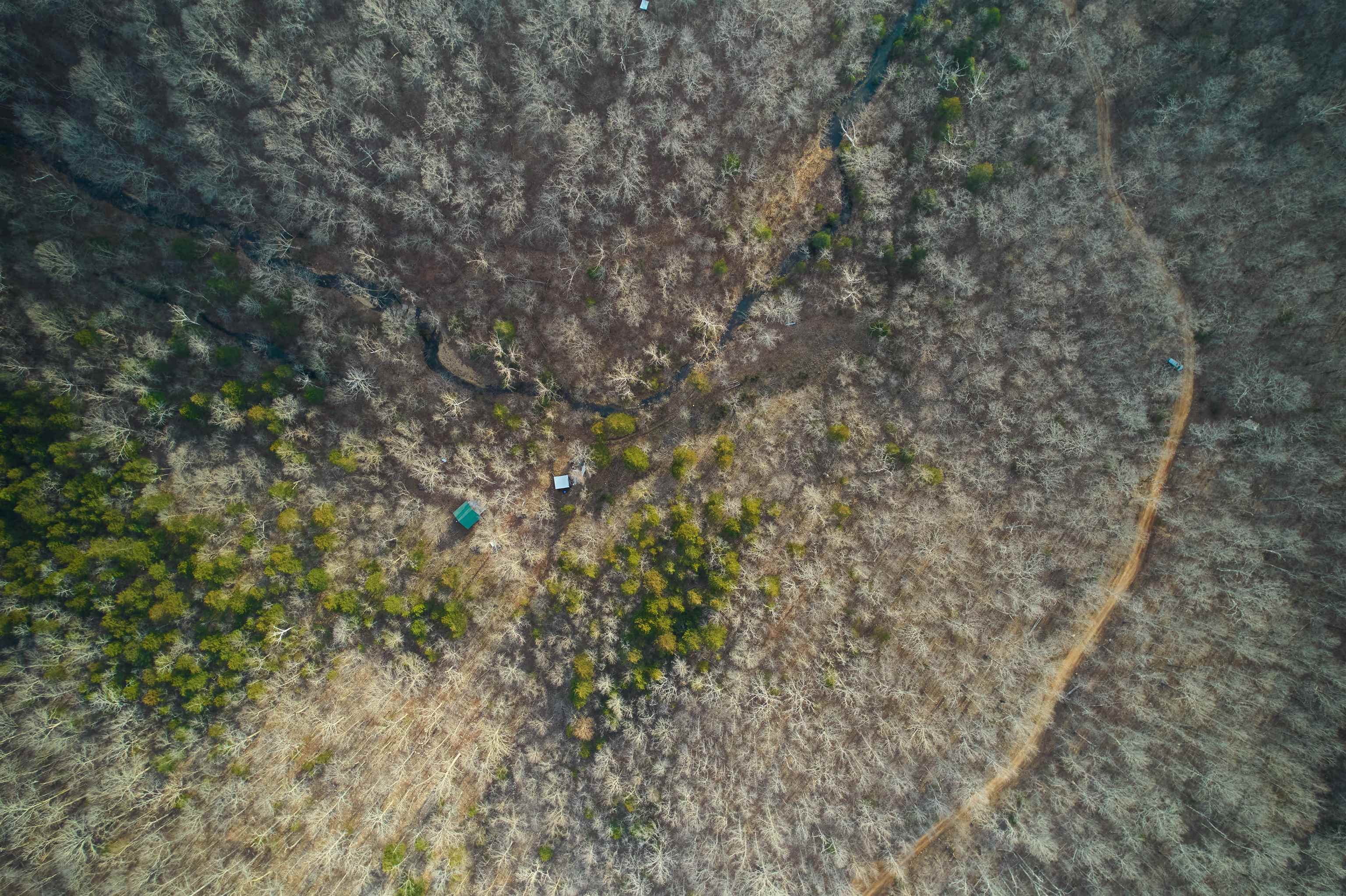 00 Red Oak  Hardy, AR