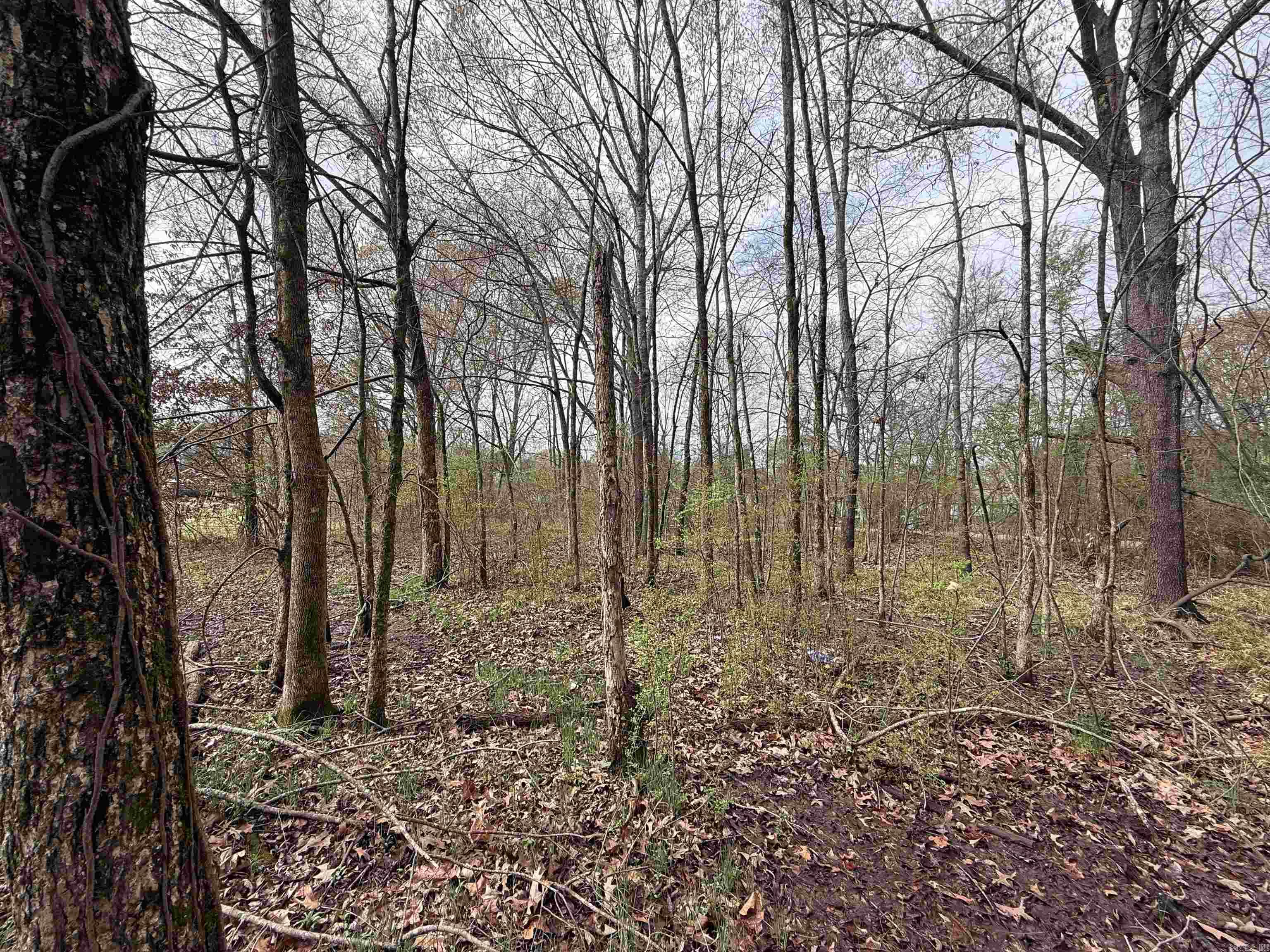  Third Street  Prescott, AR