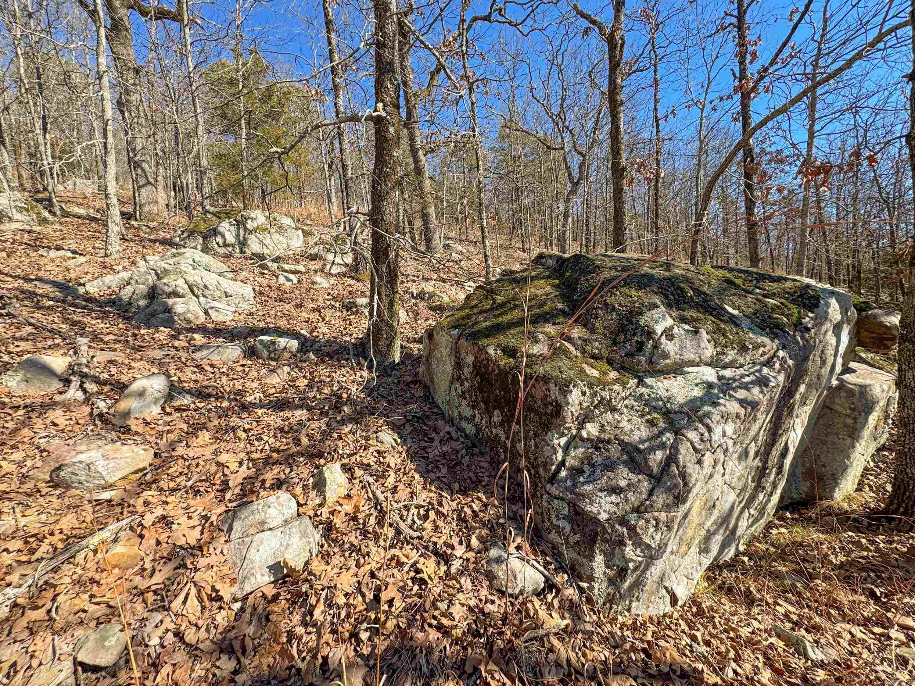 2 High Point  Mayflower, AR