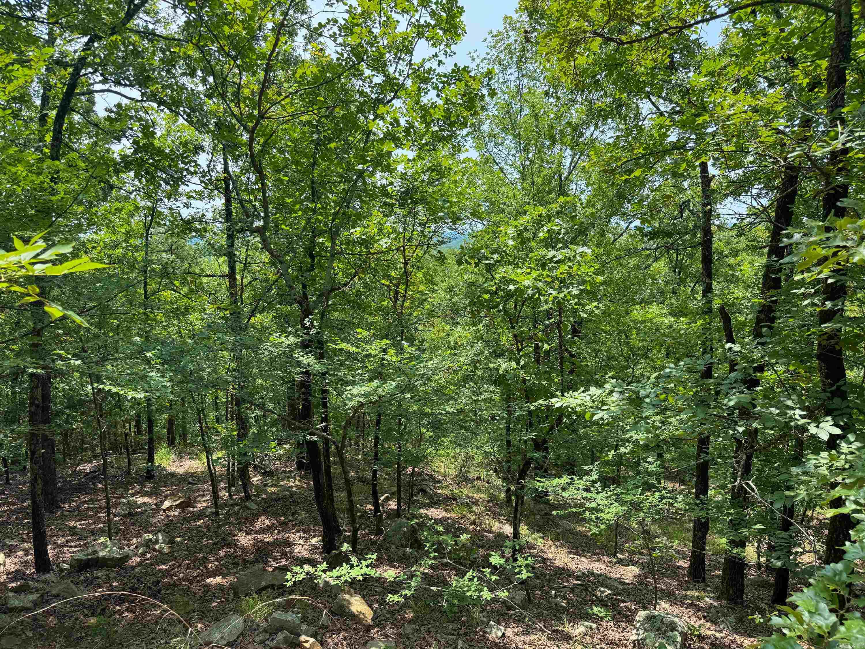 2 High Point  Mayflower, AR