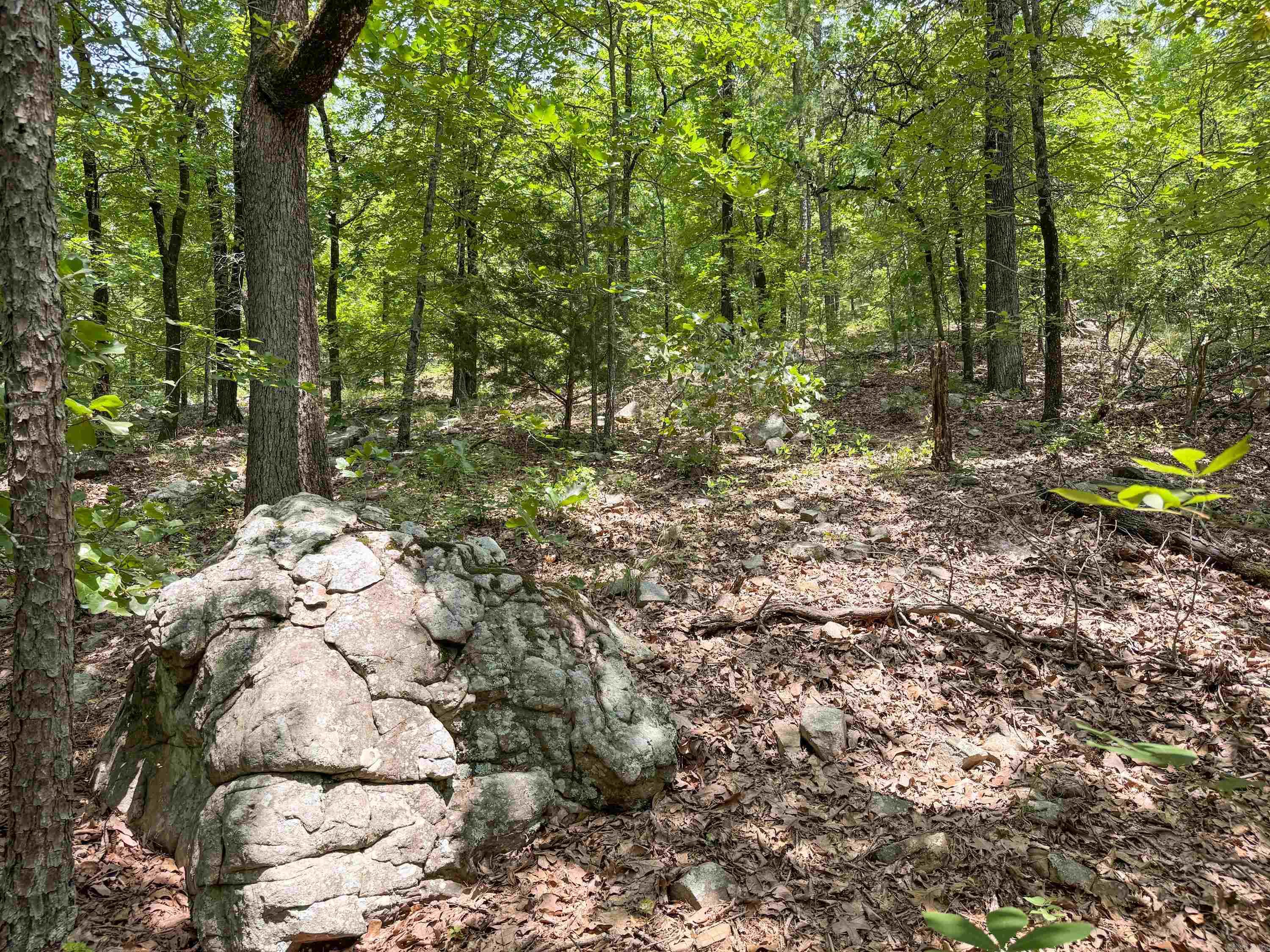 2 High Point  Mayflower, AR