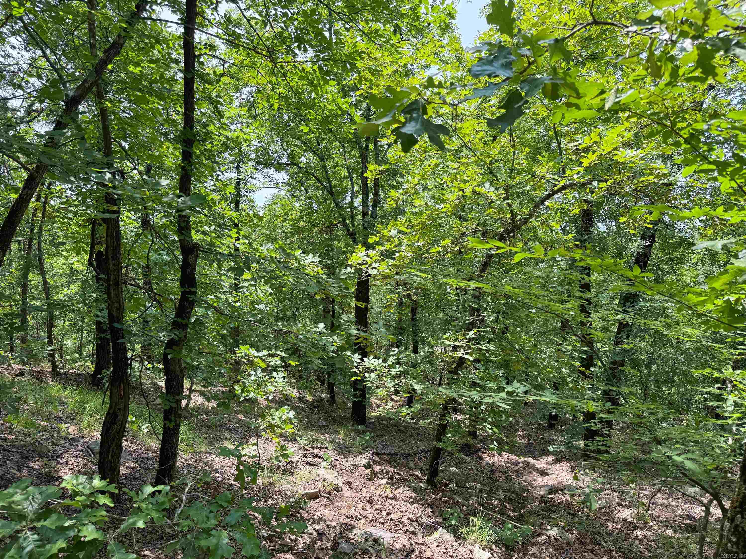 2 High Point  Mayflower, AR