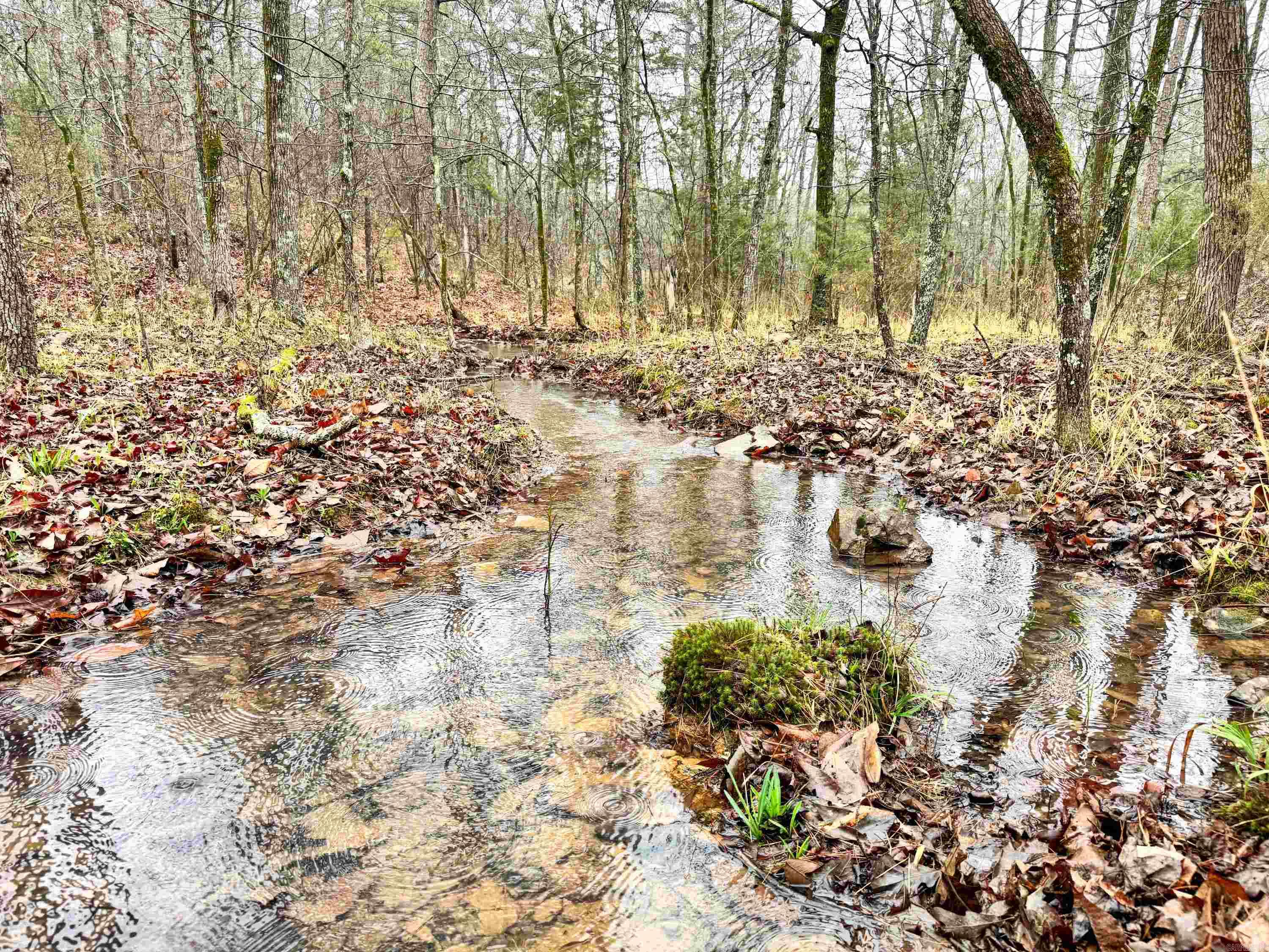 11 High Point  Mayflower, AR