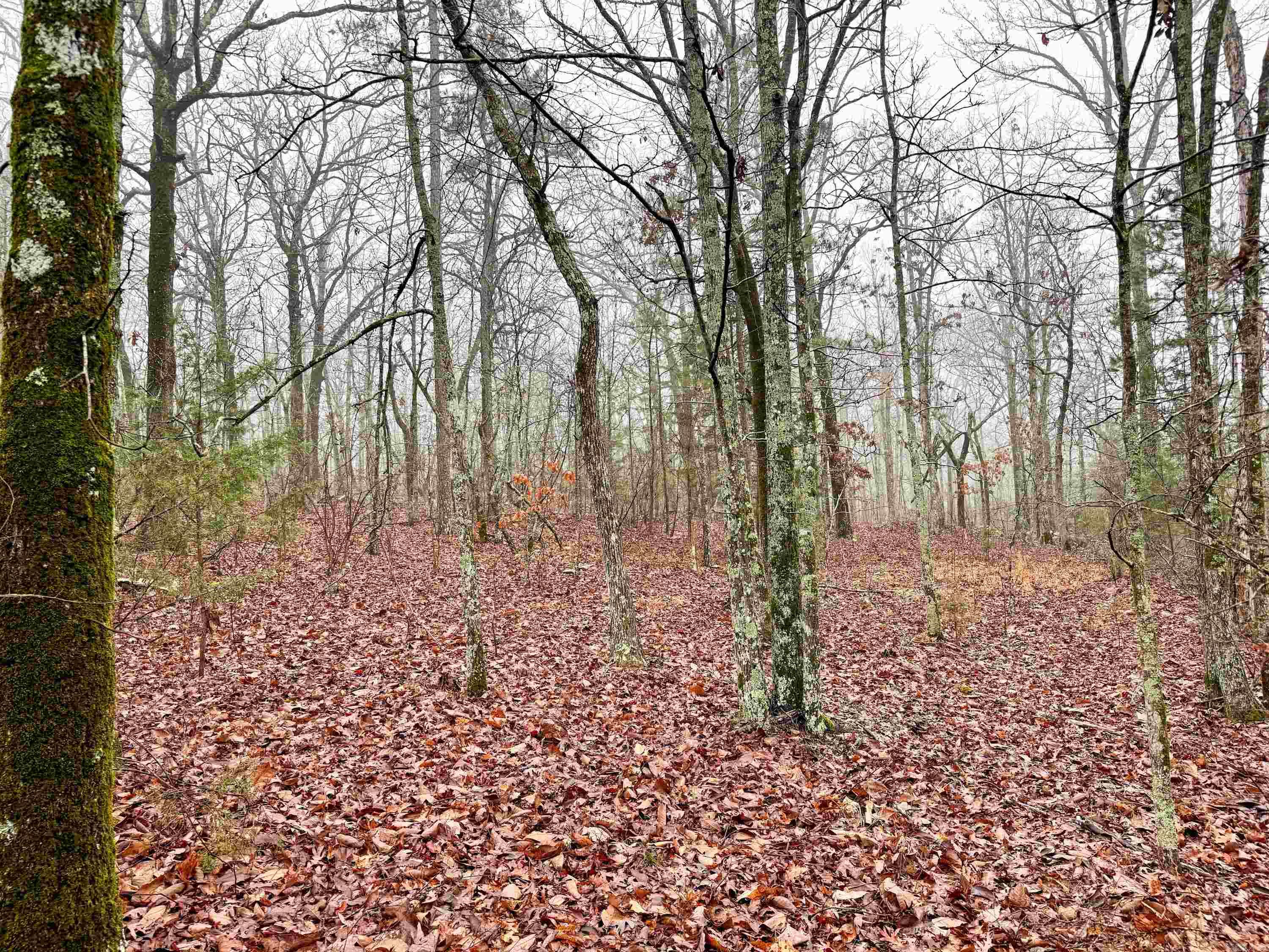 11 High Point  Mayflower, AR