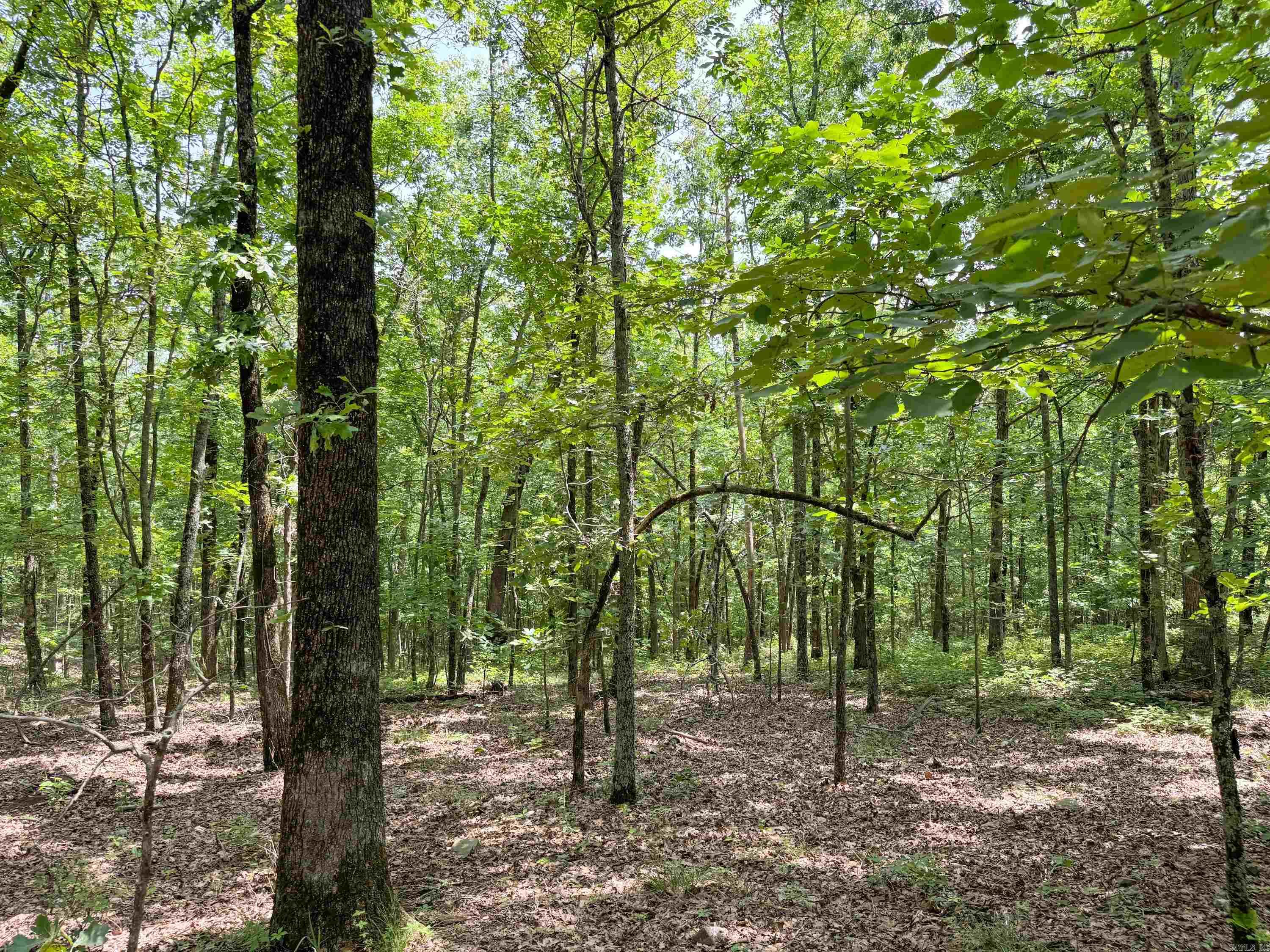 11 High Point  Mayflower, AR