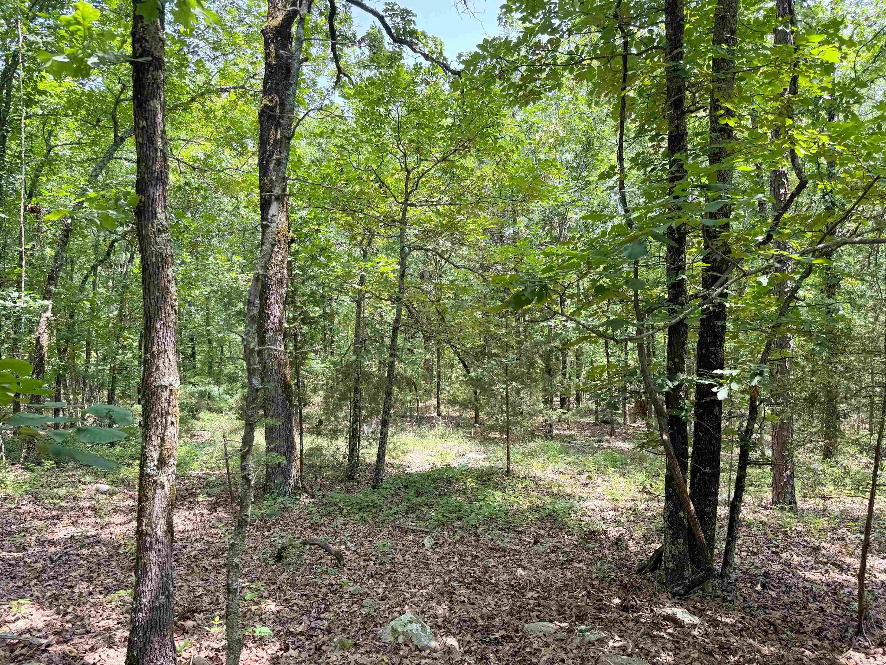 11 High Point  Mayflower, AR