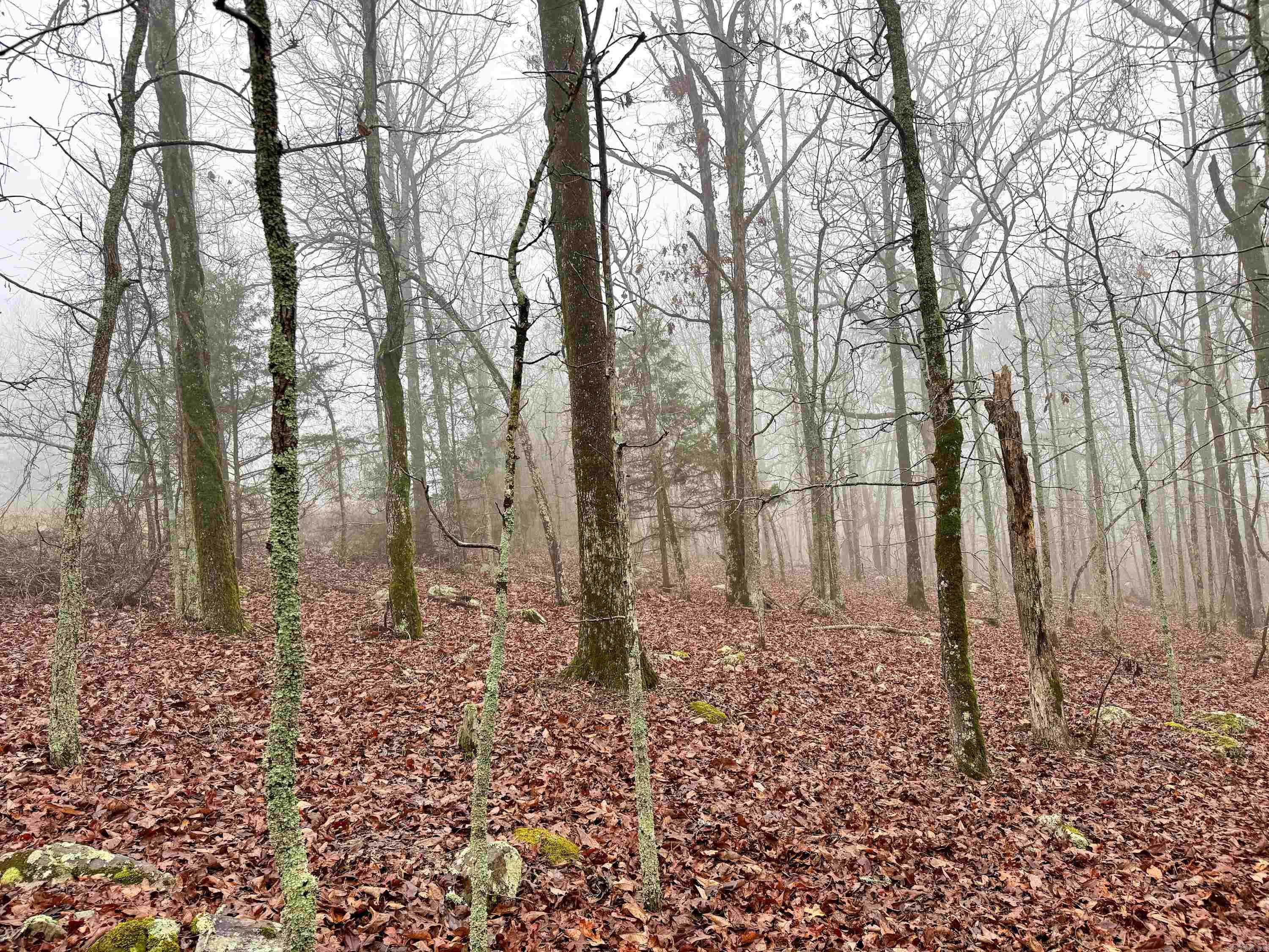 11 High Point  Mayflower, AR