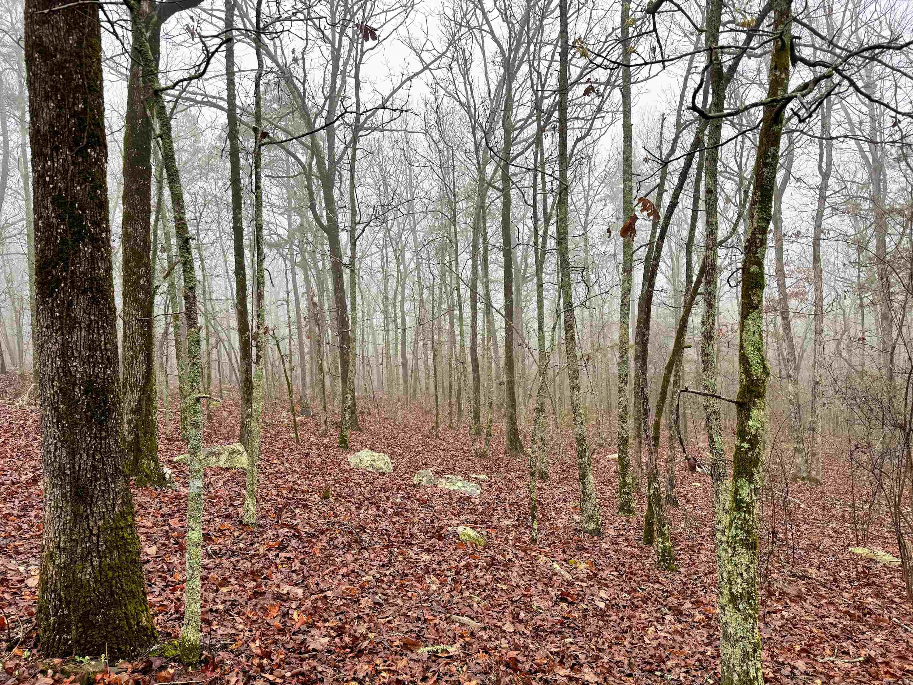 11 High Point  Mayflower, AR