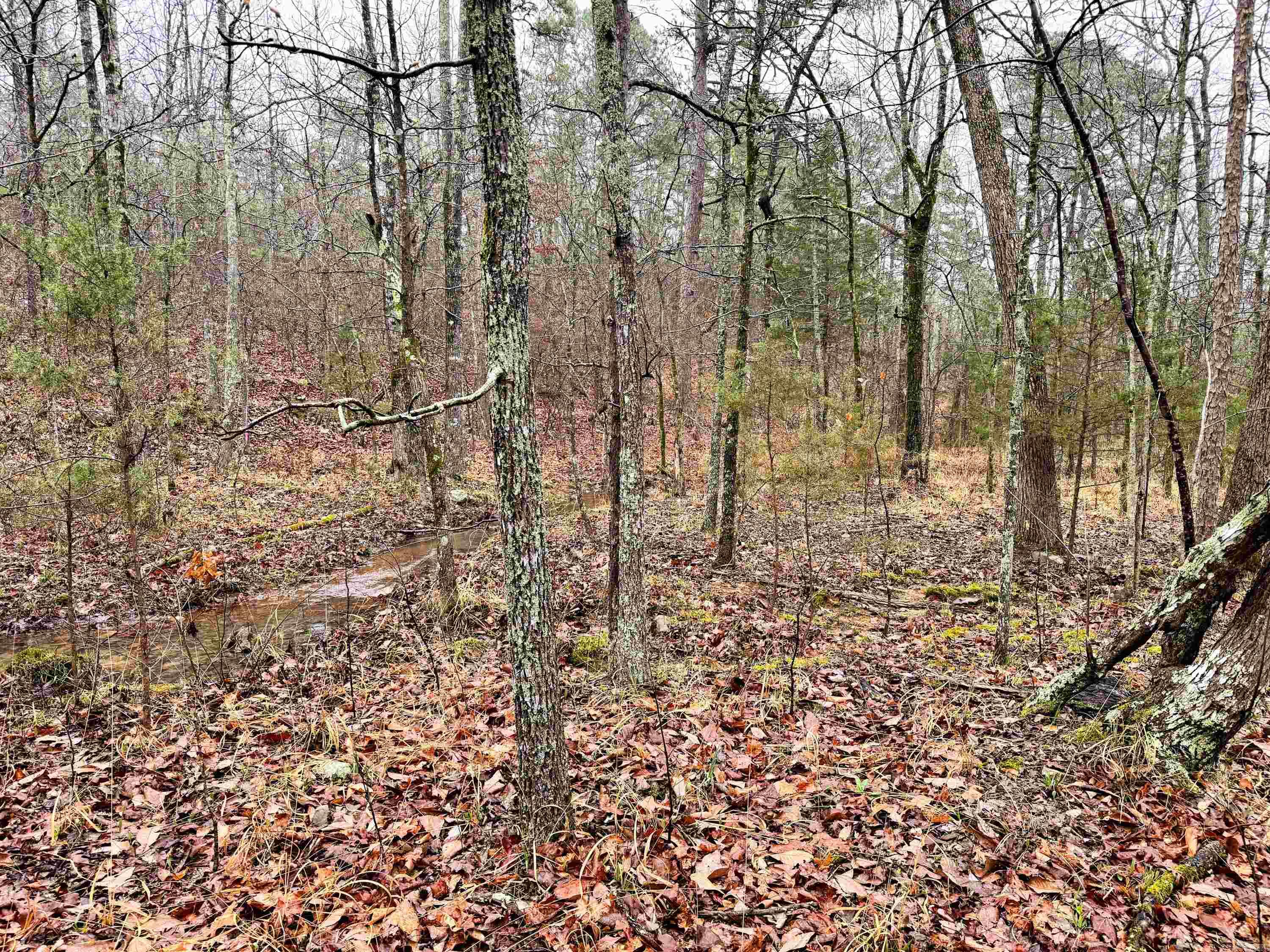 11 High Point  Mayflower, AR