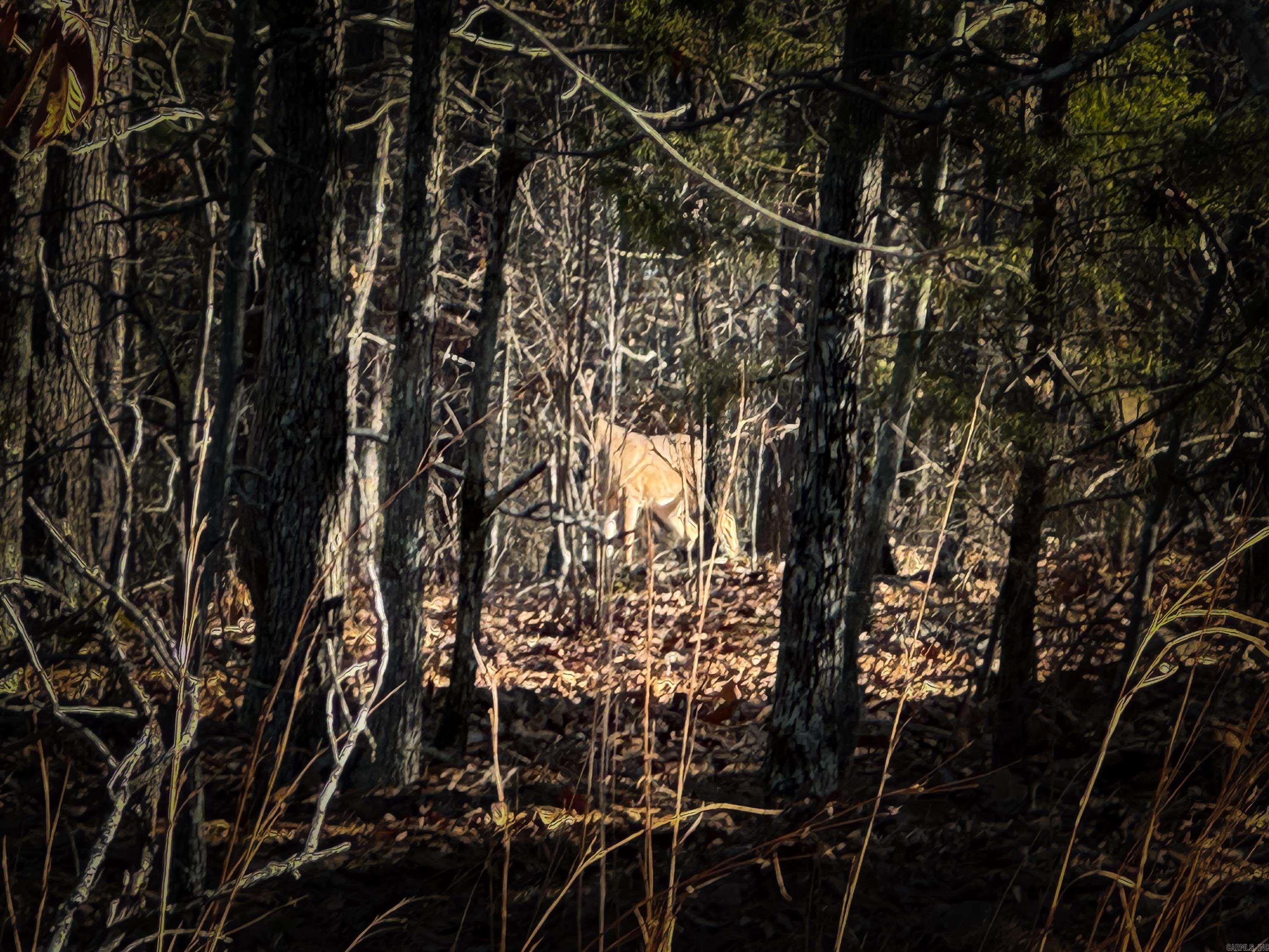 11 High Point  Mayflower, AR