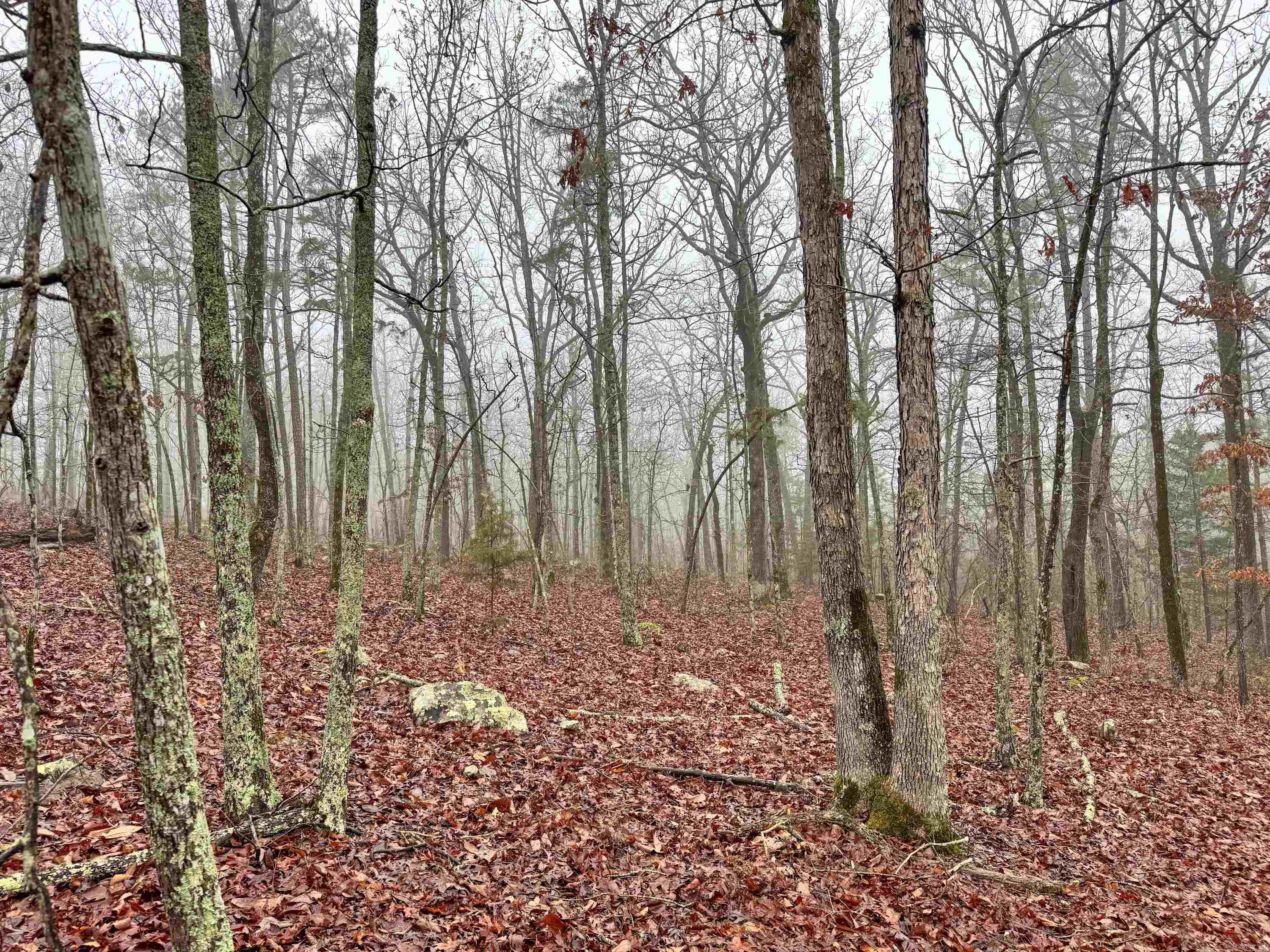 11 High Point  Mayflower, AR