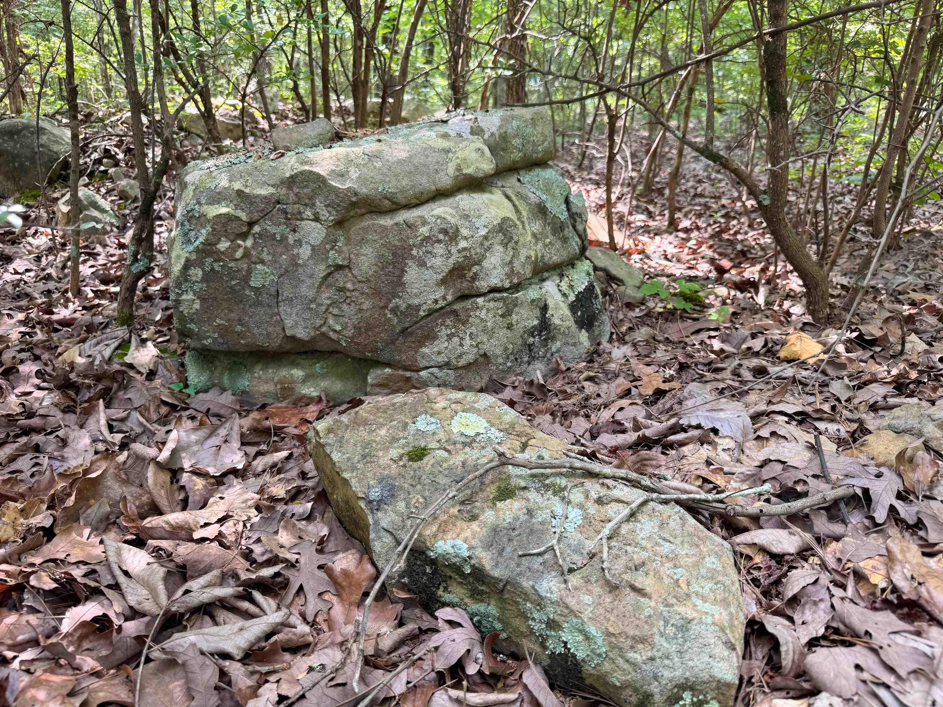 37 High Point  Mayflower, AR