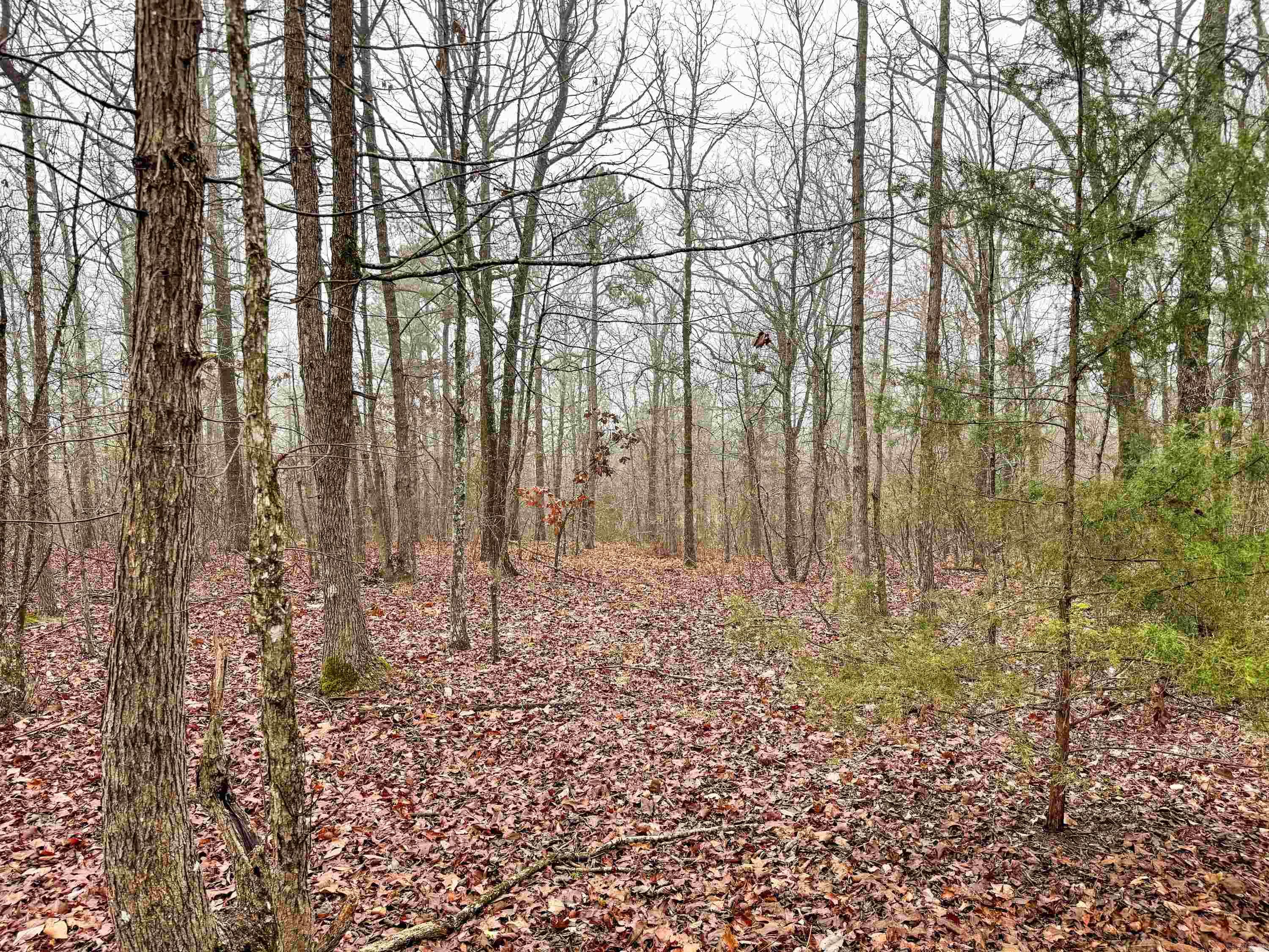 37 High Point  Mayflower, AR