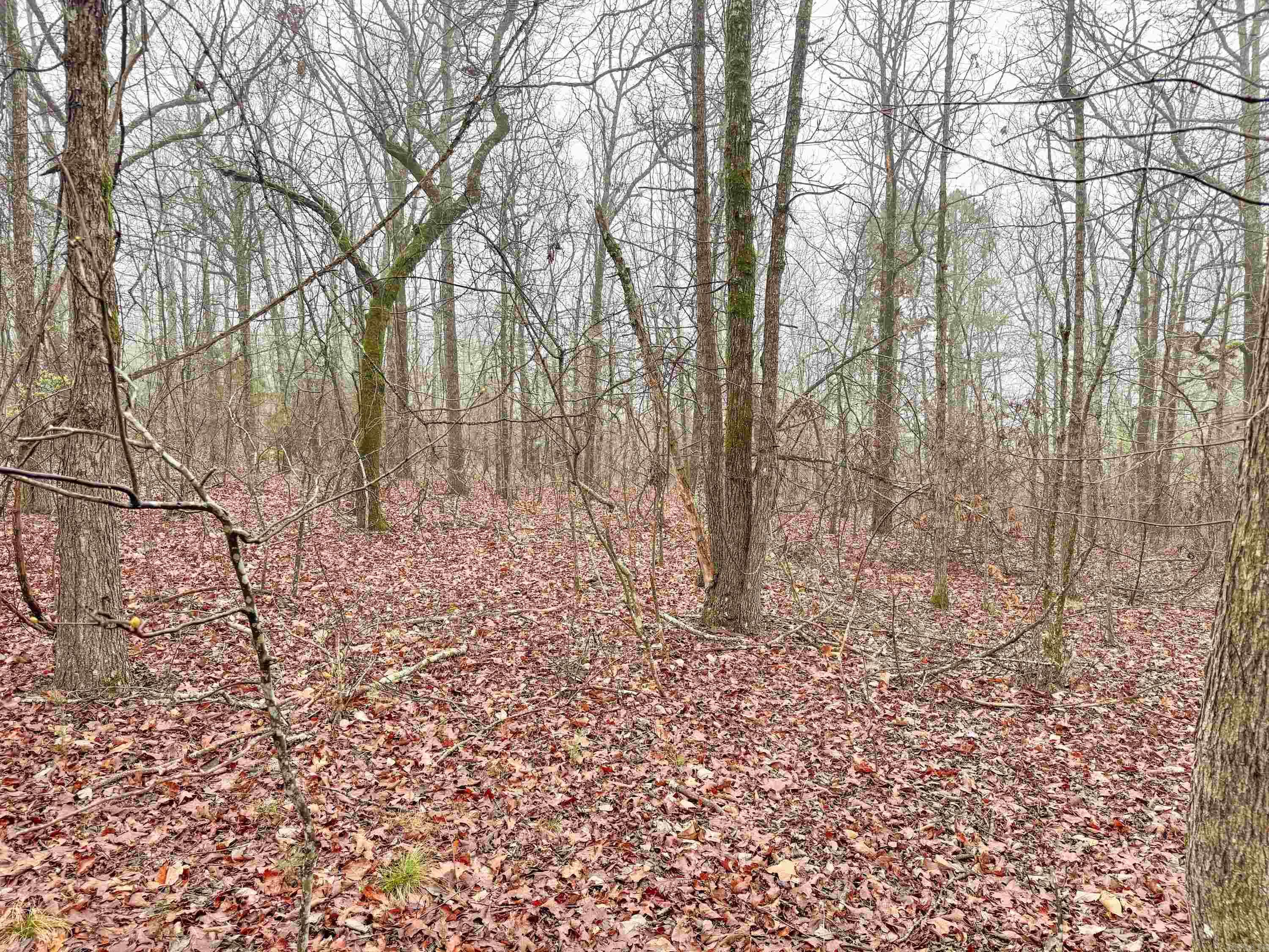 37 High Point  Mayflower, AR