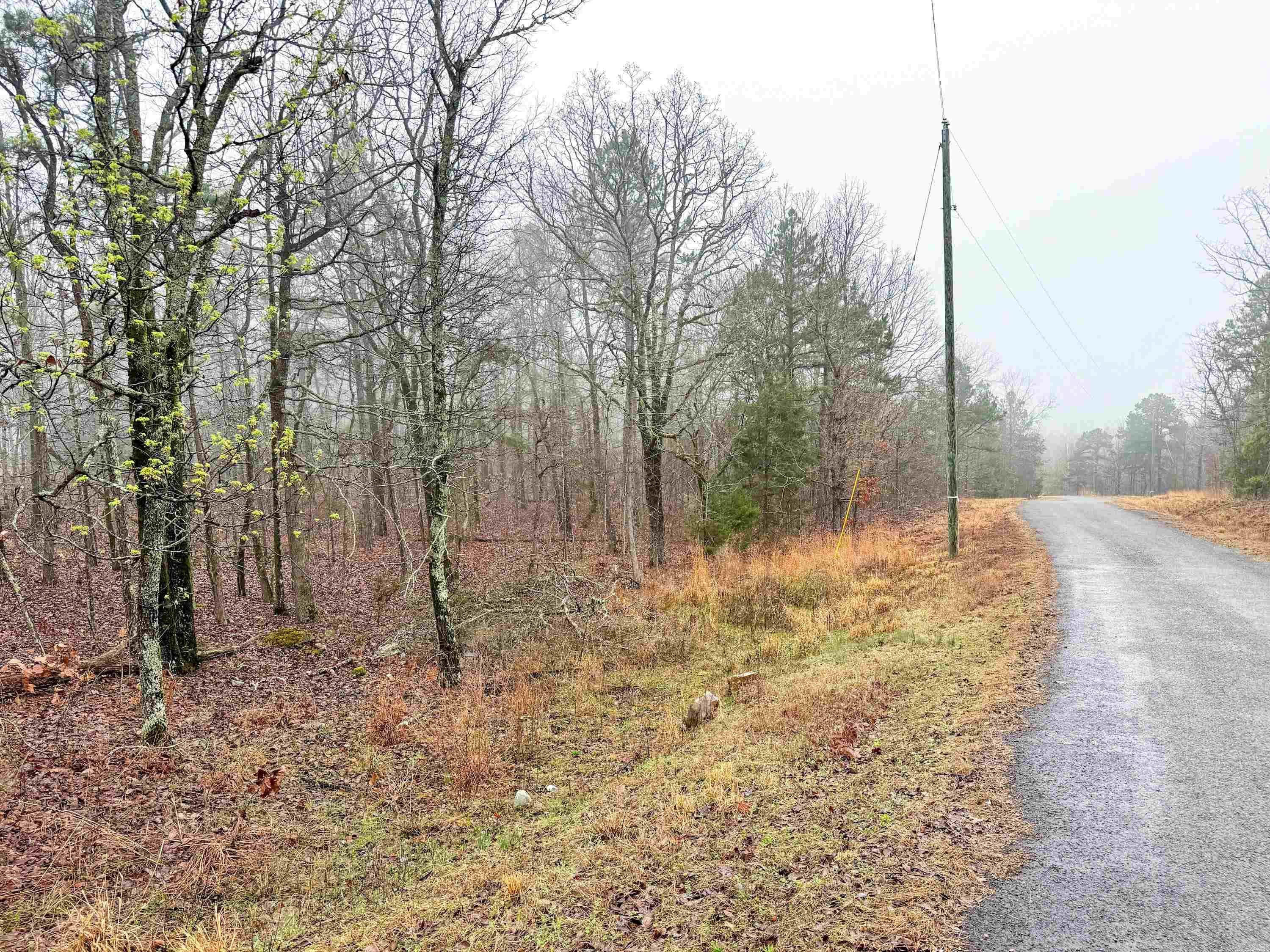 37 High Point  Mayflower, AR