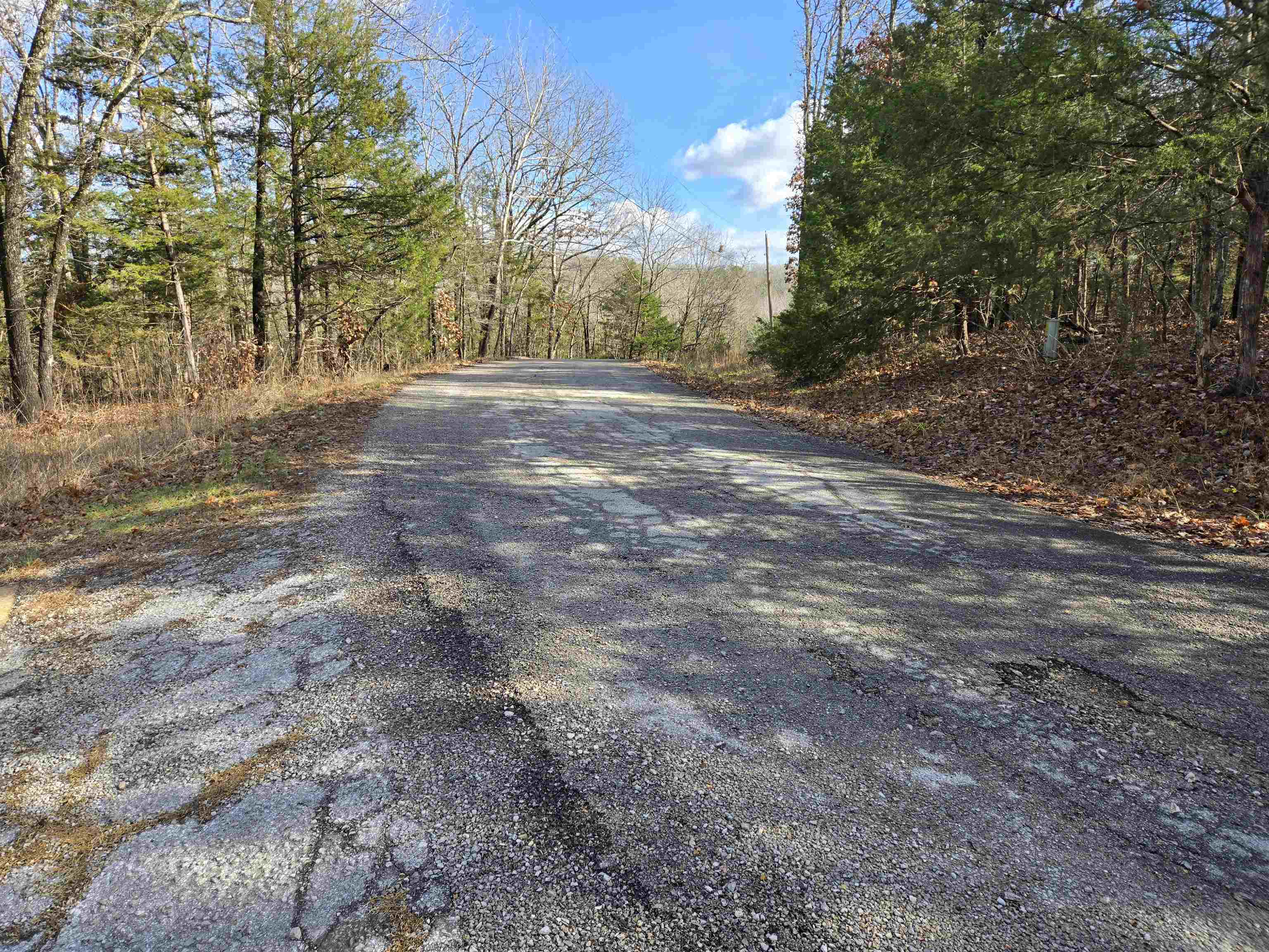 7 Ozoo  Cherokee Village, AR