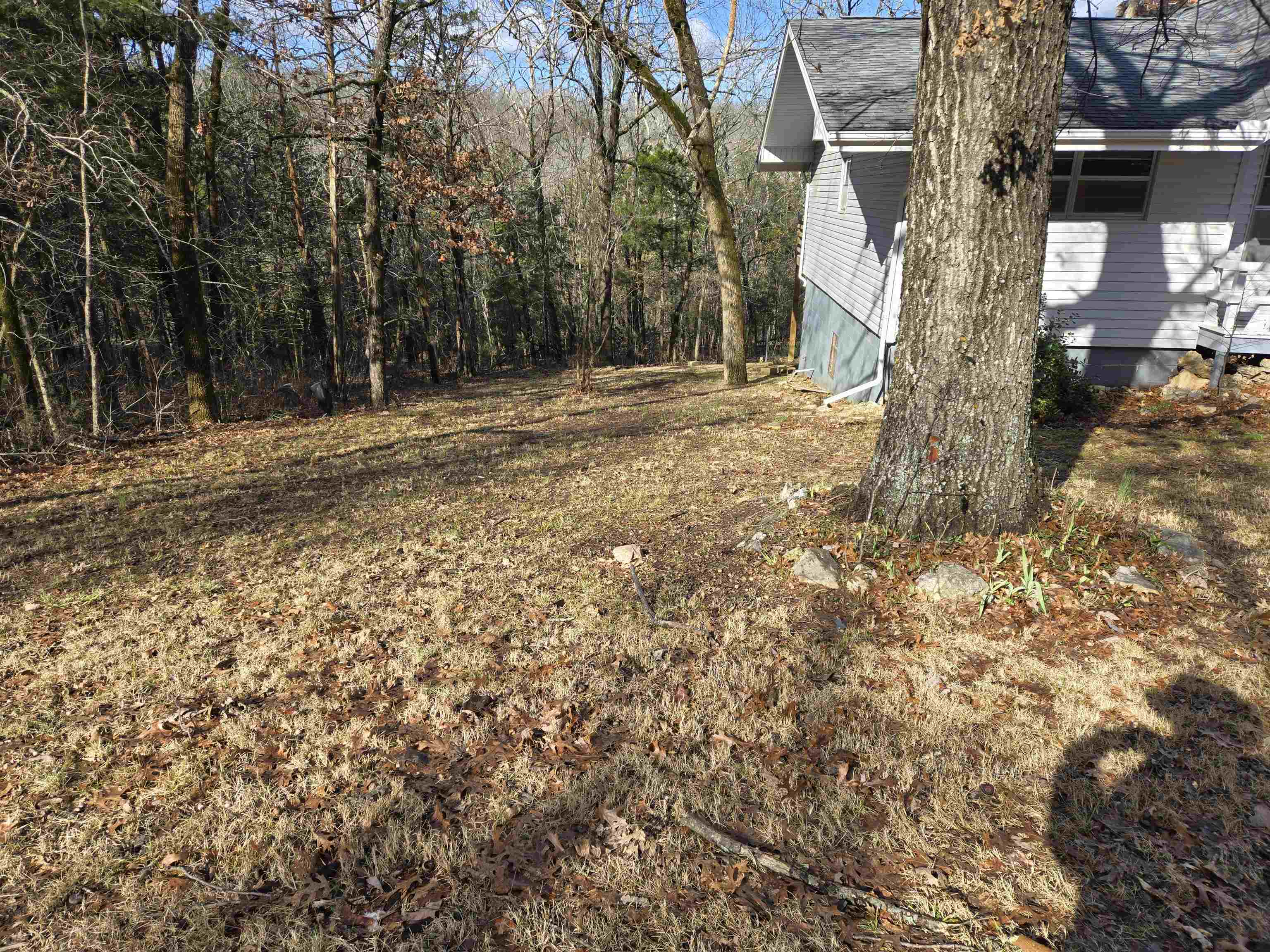 7 Ozoo  Cherokee Village, AR