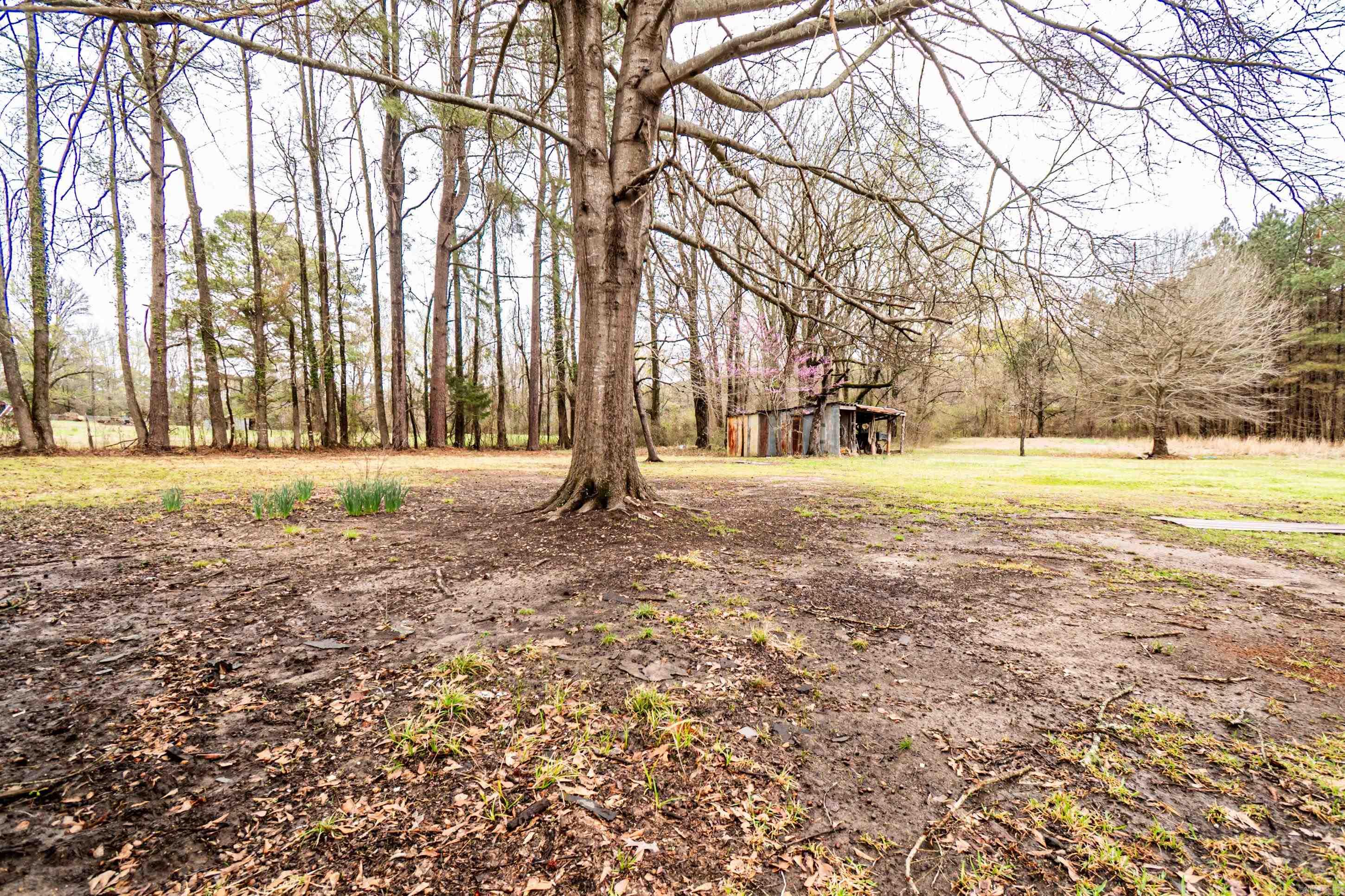 438 Midway Rte  Monticello, AR