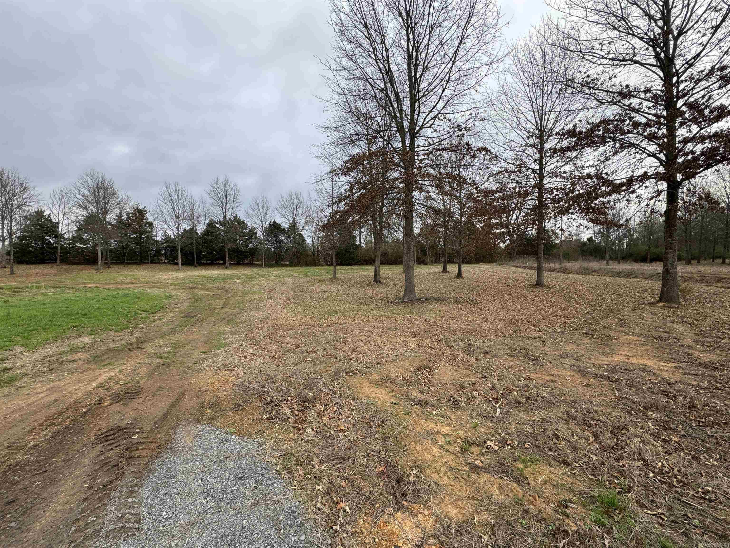 27R River Birch Drive  Guy, AR