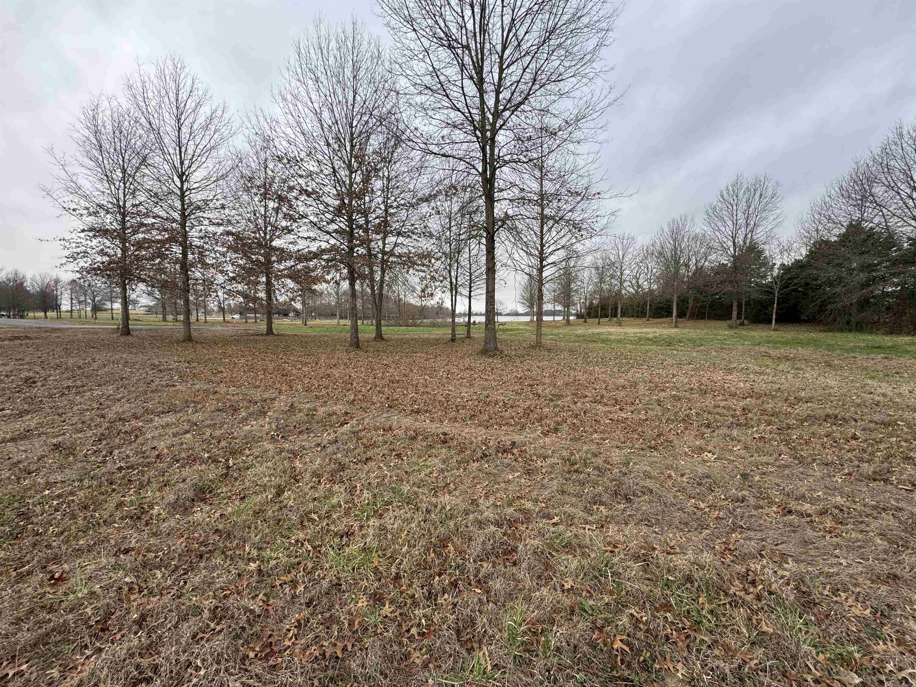 27R River Birch Drive  Guy, AR