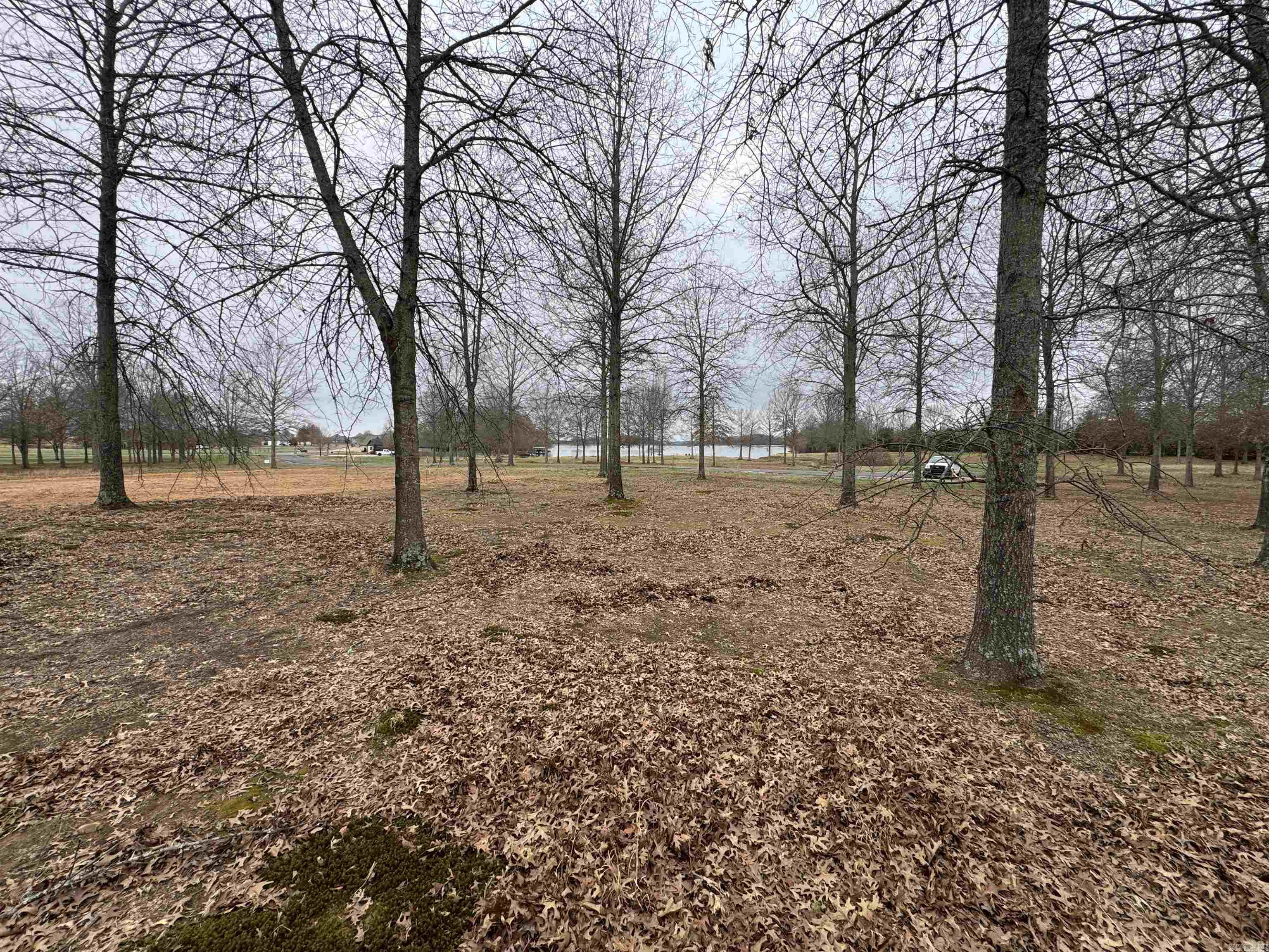 30R River Birch Drive  Guy, AR