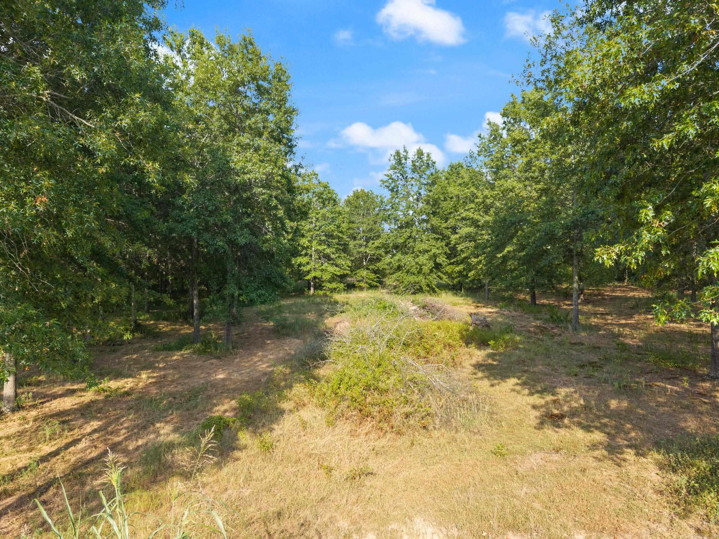 30R River Birch Drive  Guy, AR